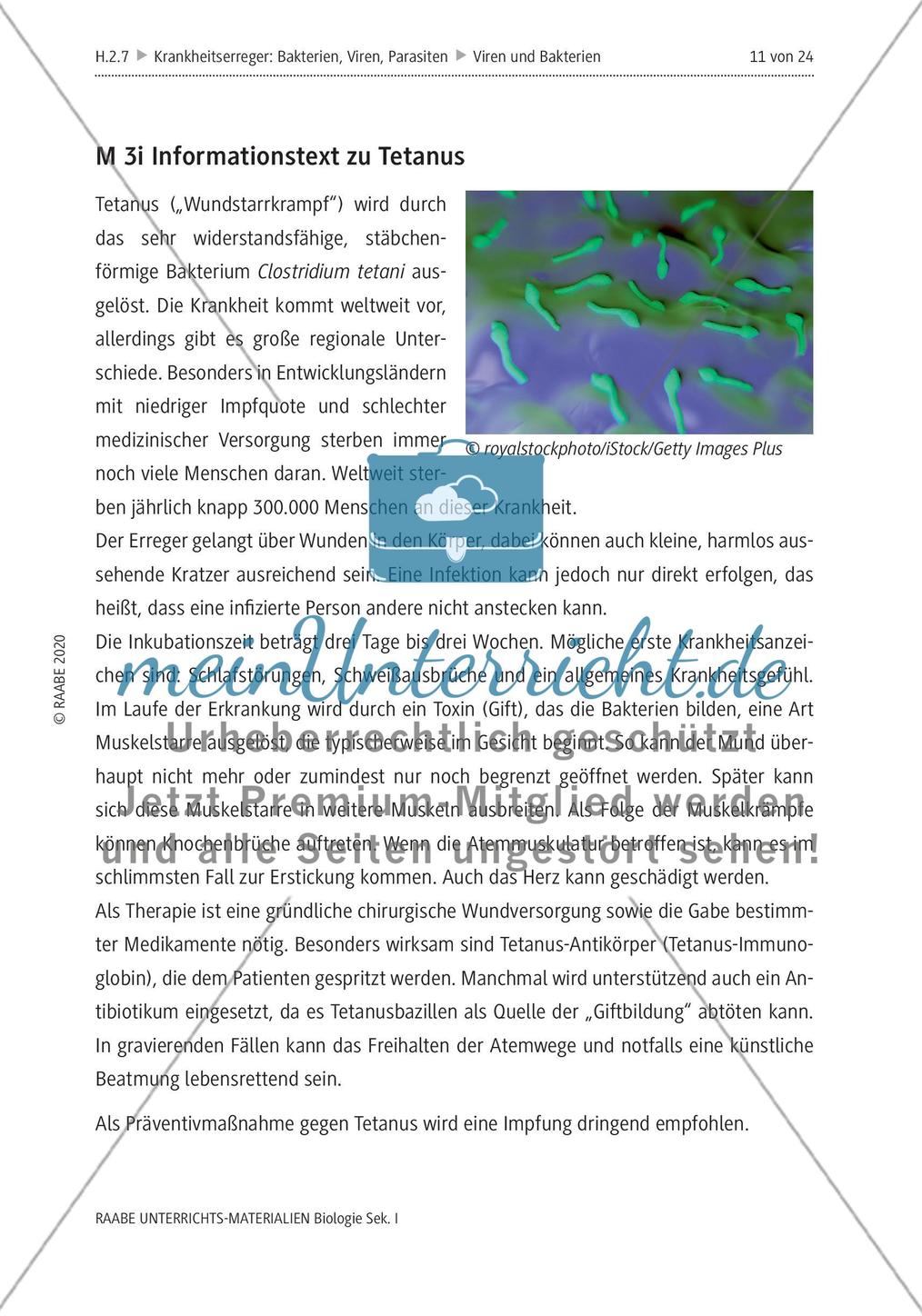 Viren und Bakterien - M1-M3 Preview 9