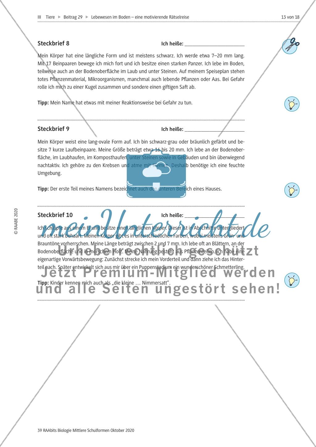 Eine Rätselreise zu Bodenlebewesen Preview 10