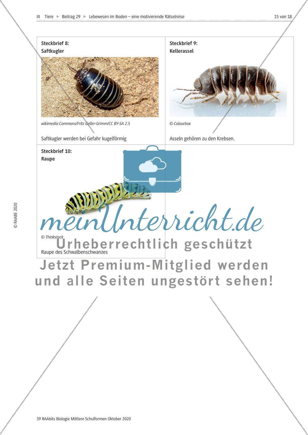 Eine Rätselreise zu Bodenlebewesen Preview 12