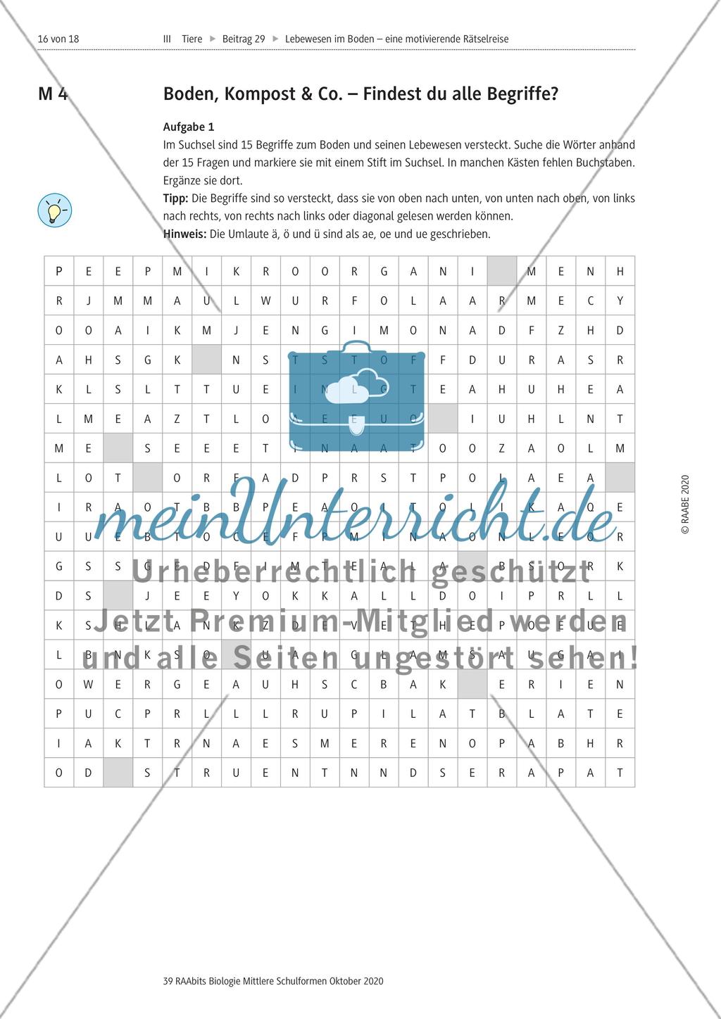 Eine Rätselreise zu Bodenlebewesen Preview 13