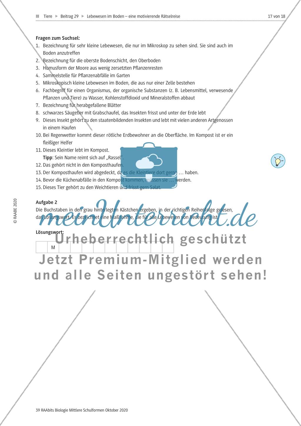 Eine Rätselreise zu Bodenlebewesen Preview 14