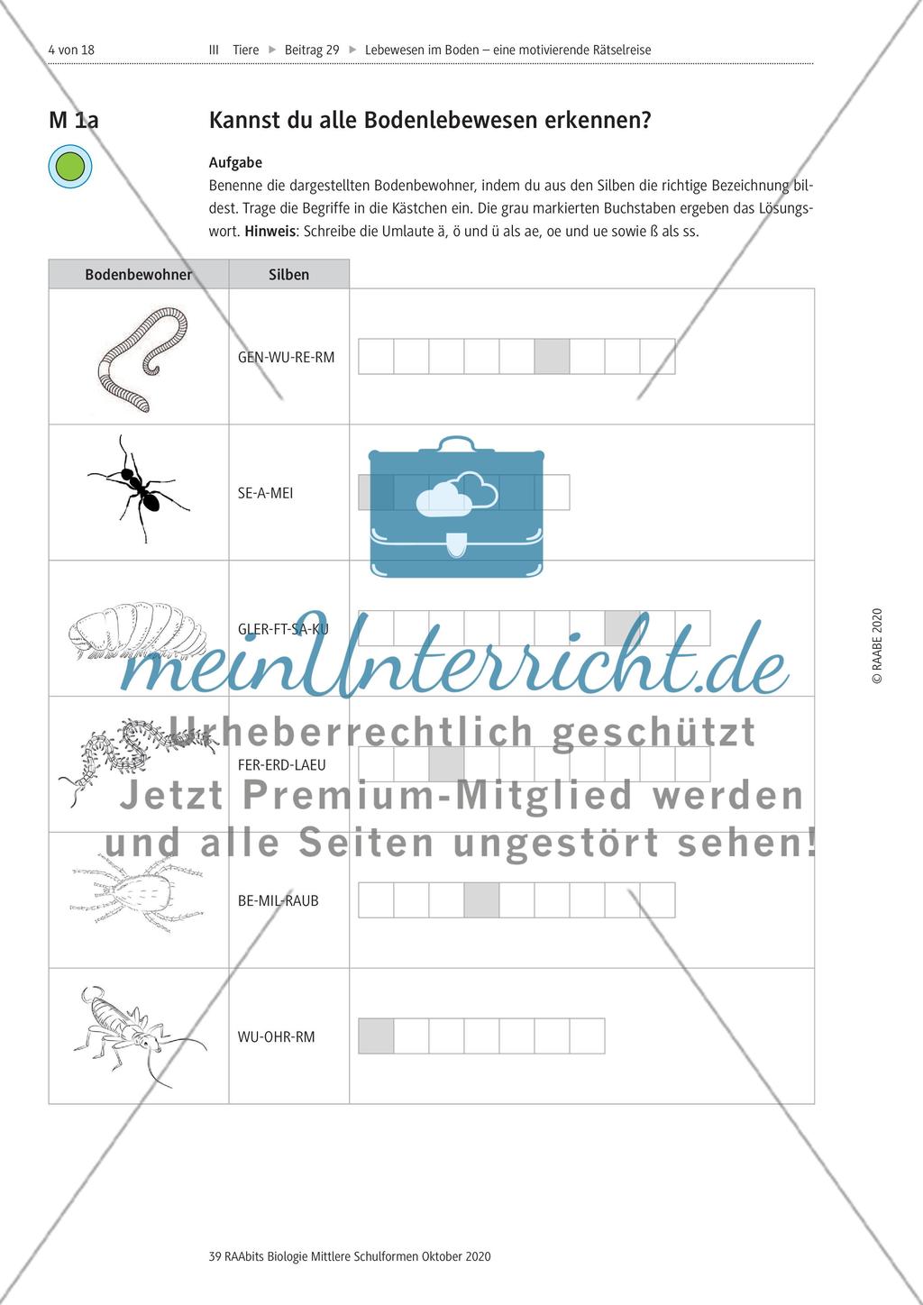Eine Rätselreise zu Bodenlebewesen Preview 1