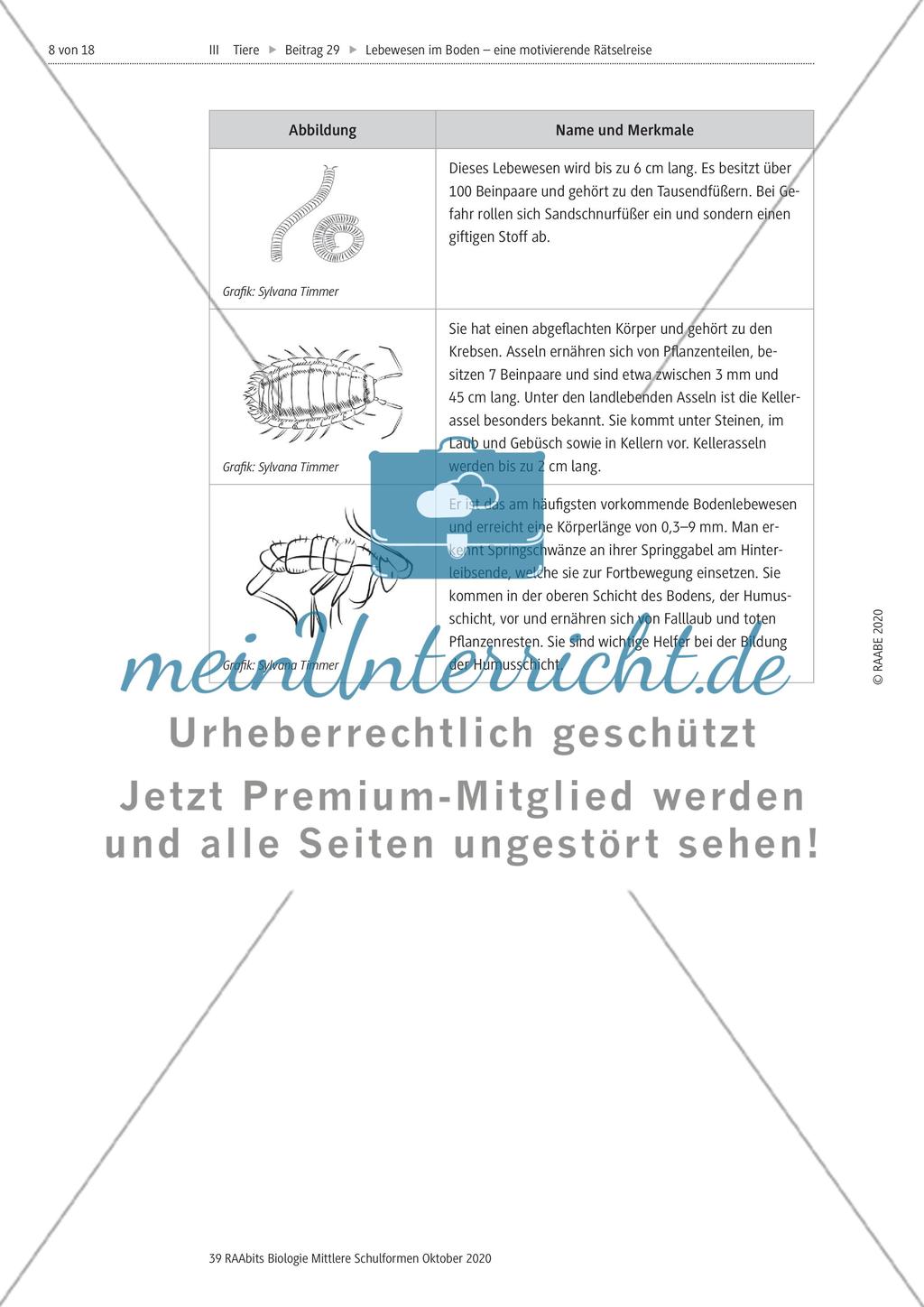 Eine Rätselreise zu Bodenlebewesen Preview 5