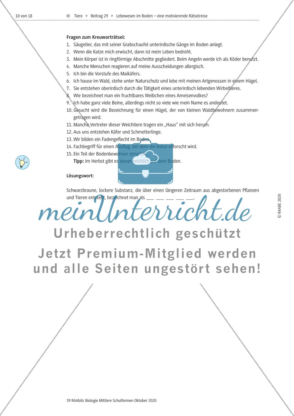 Eine Rätselreise zu Bodenlebewesen Preview 7