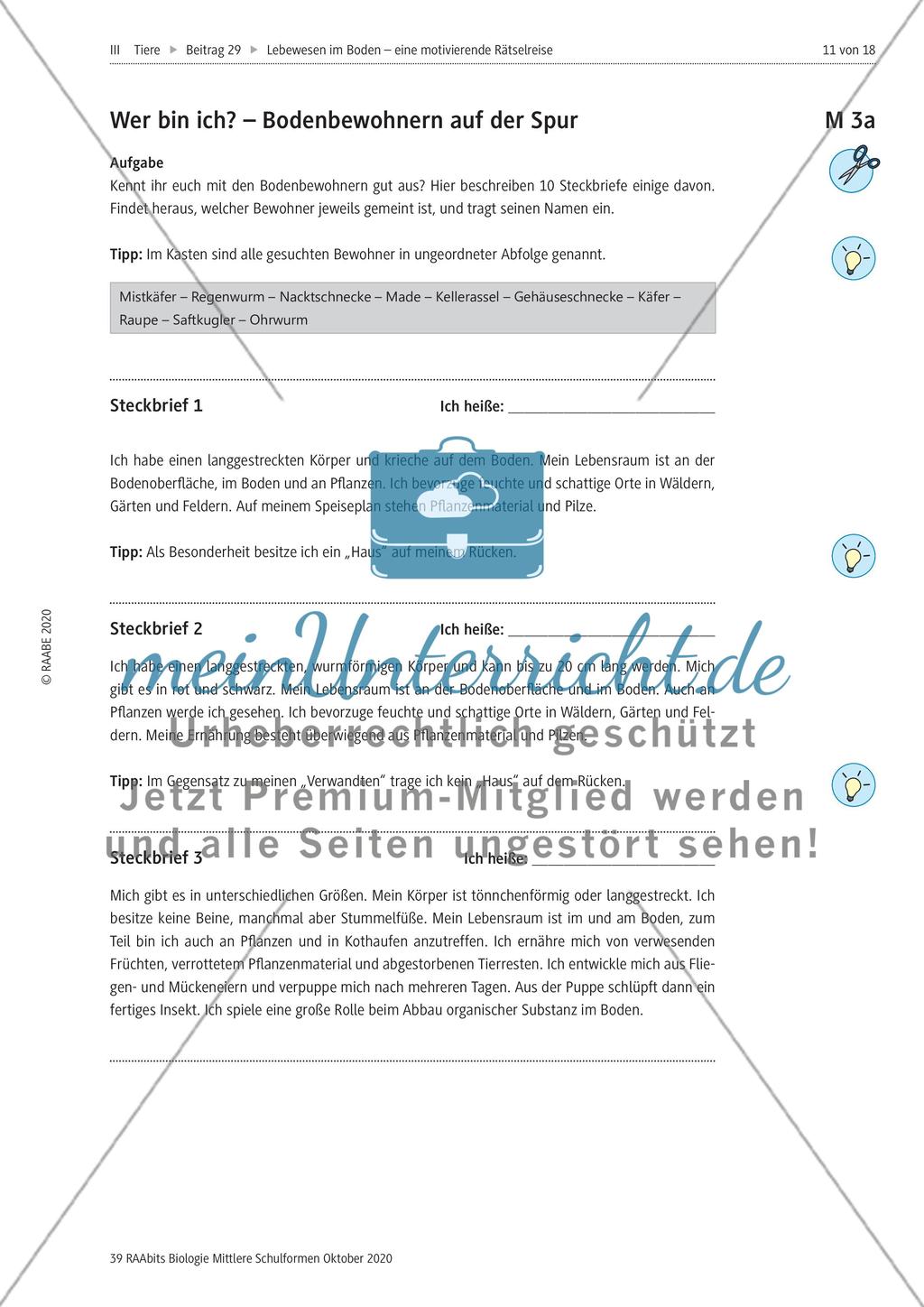 Eine Rätselreise zu Bodenlebewesen Preview 8