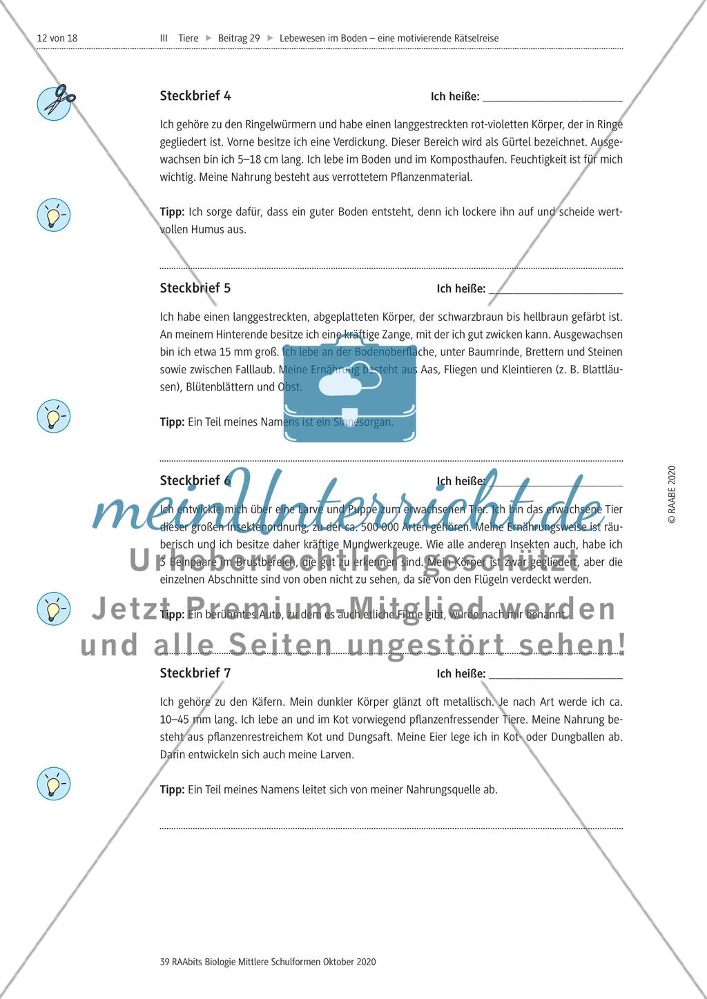 Eine Rätselreise zu Bodenlebewesen Preview 9