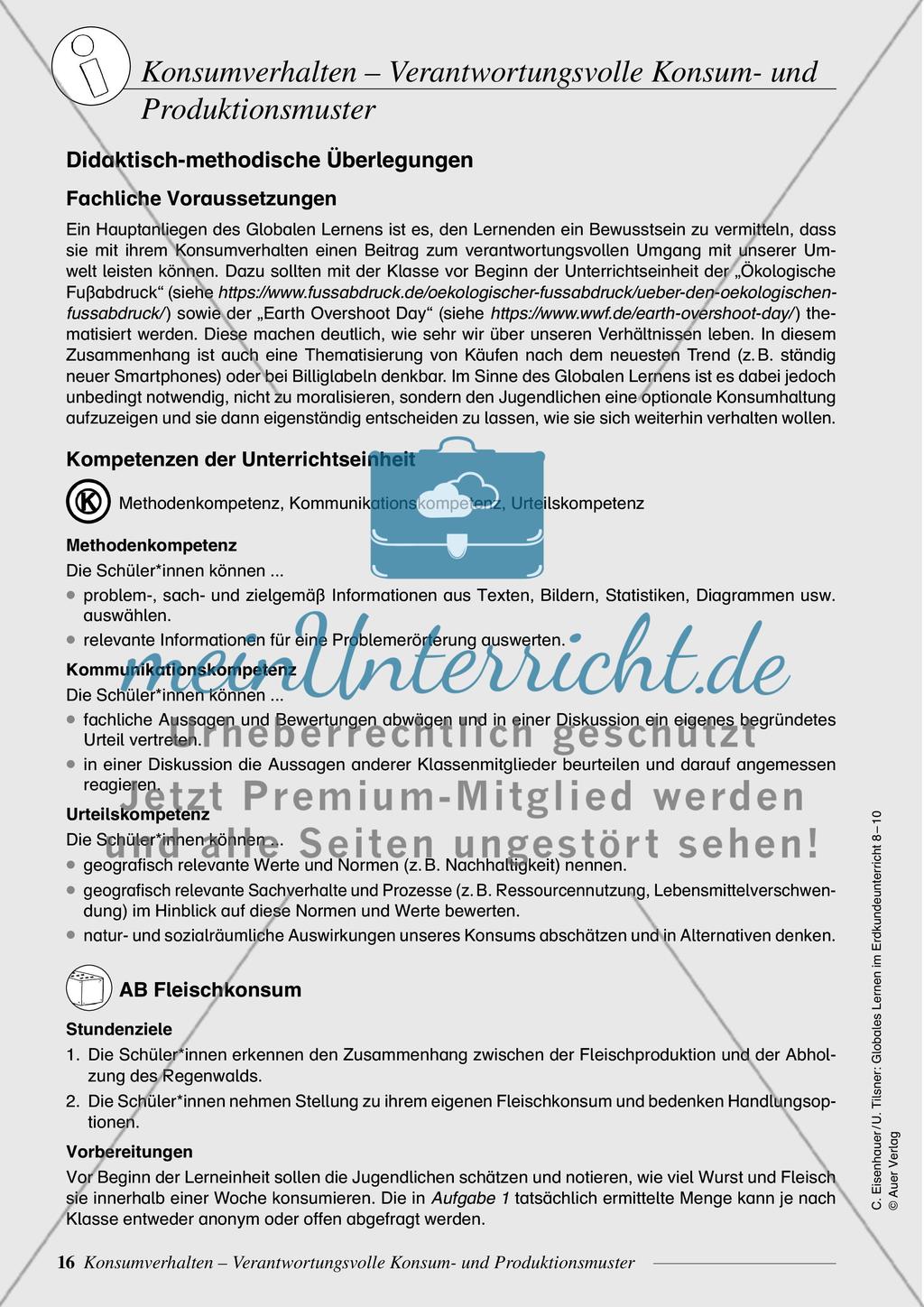 Konsumverhalten - Verantwortungsvolle Konsum- und Produktionsmuster Preview 1