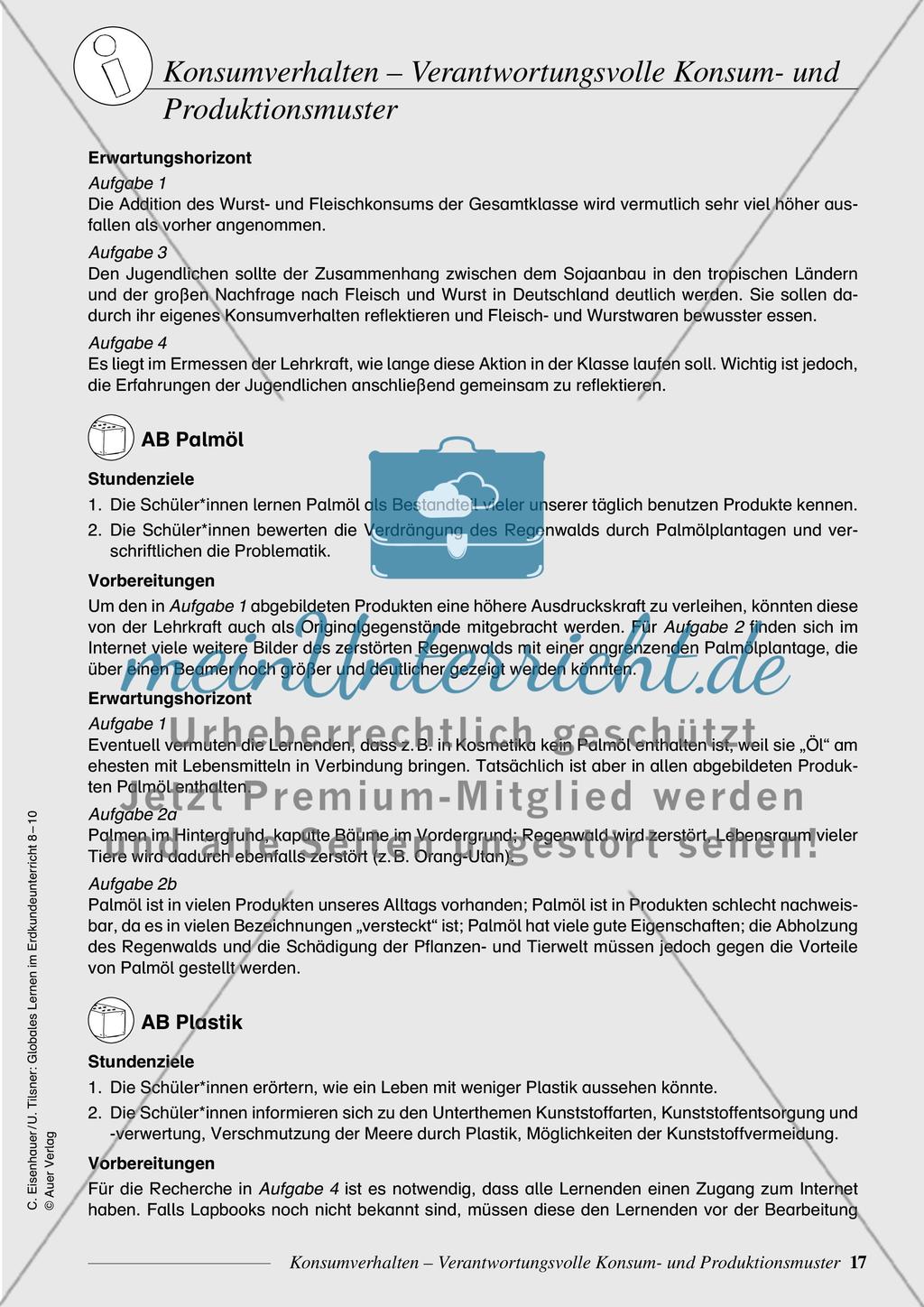 Konsumverhalten - Verantwortungsvolle Konsum- und Produktionsmuster Preview 2