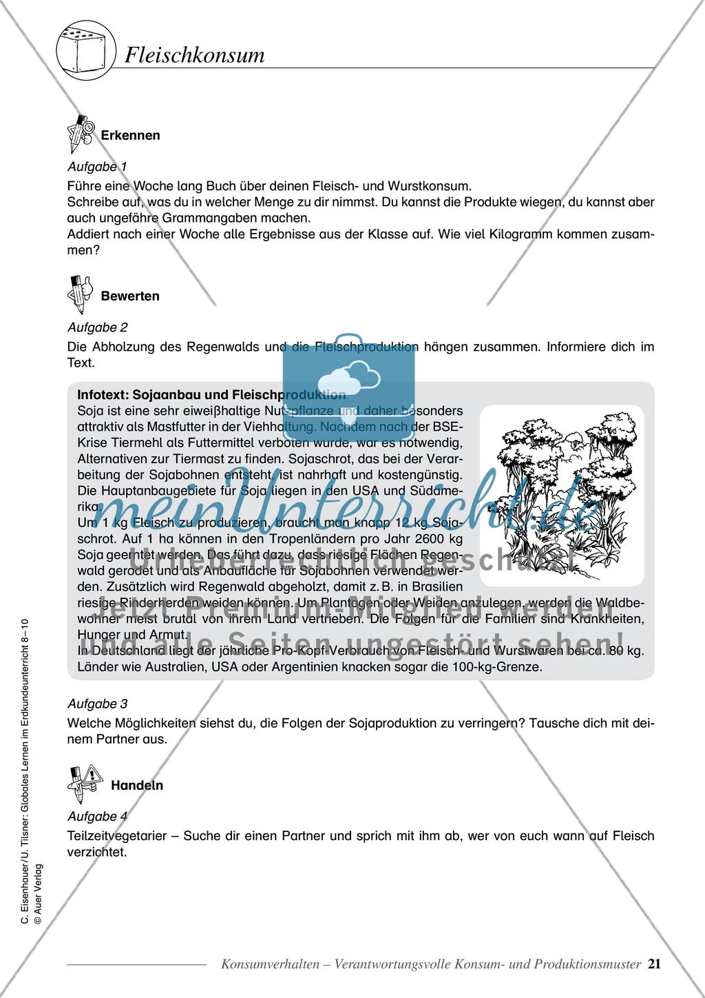 Konsumverhalten - Verantwortungsvolle Konsum- und Produktionsmuster Preview 6