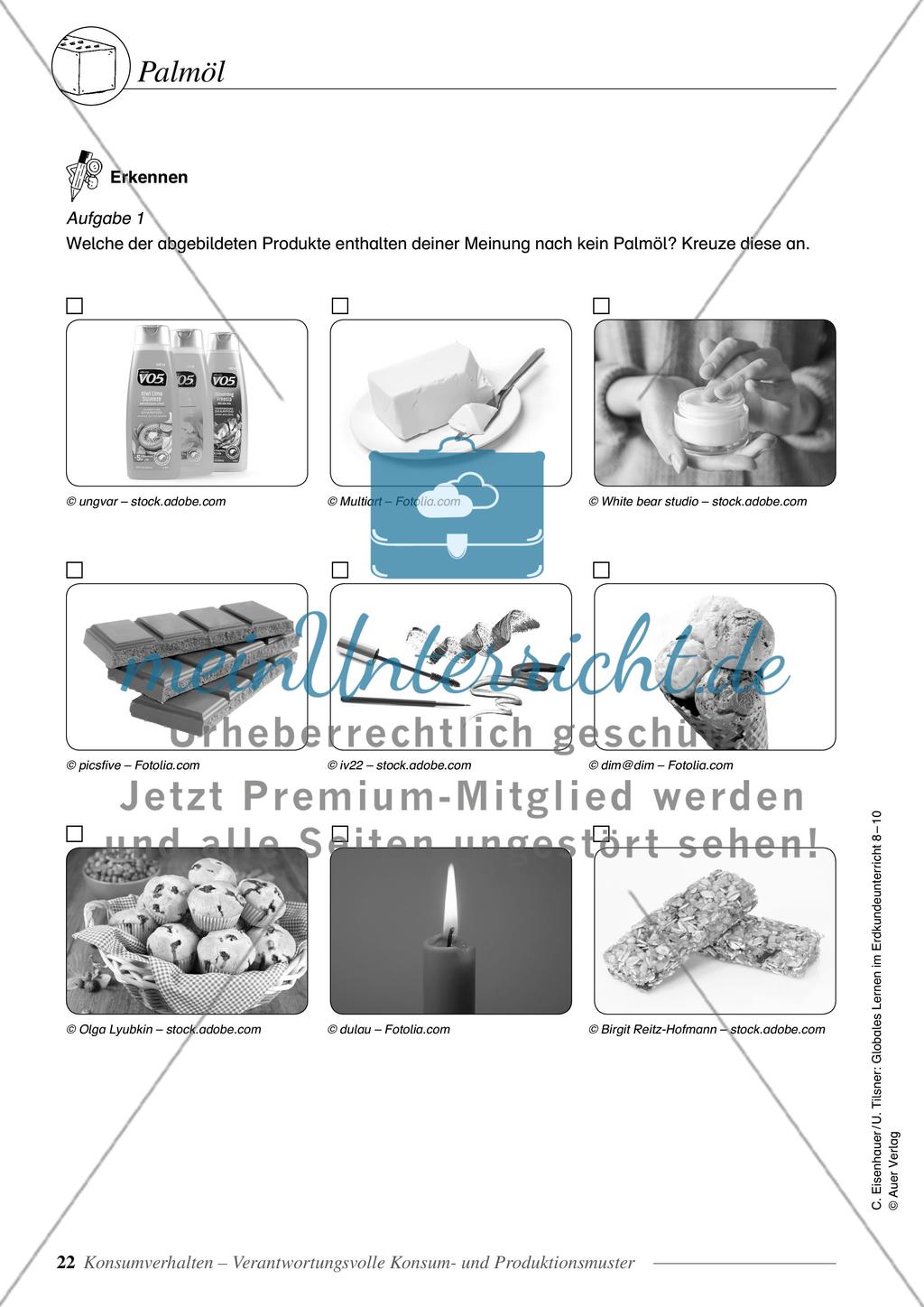 Konsumverhalten - Verantwortungsvolle Konsum- und Produktionsmuster Preview 7