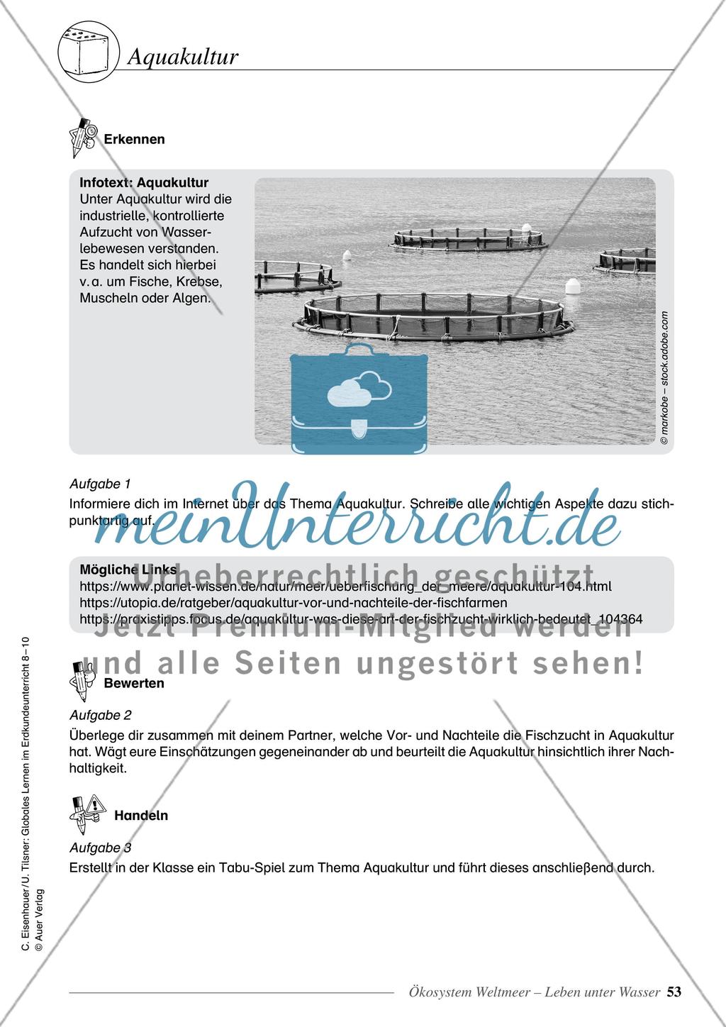 Ökosystem Weltmeer - Leben unter Wasser Preview 11