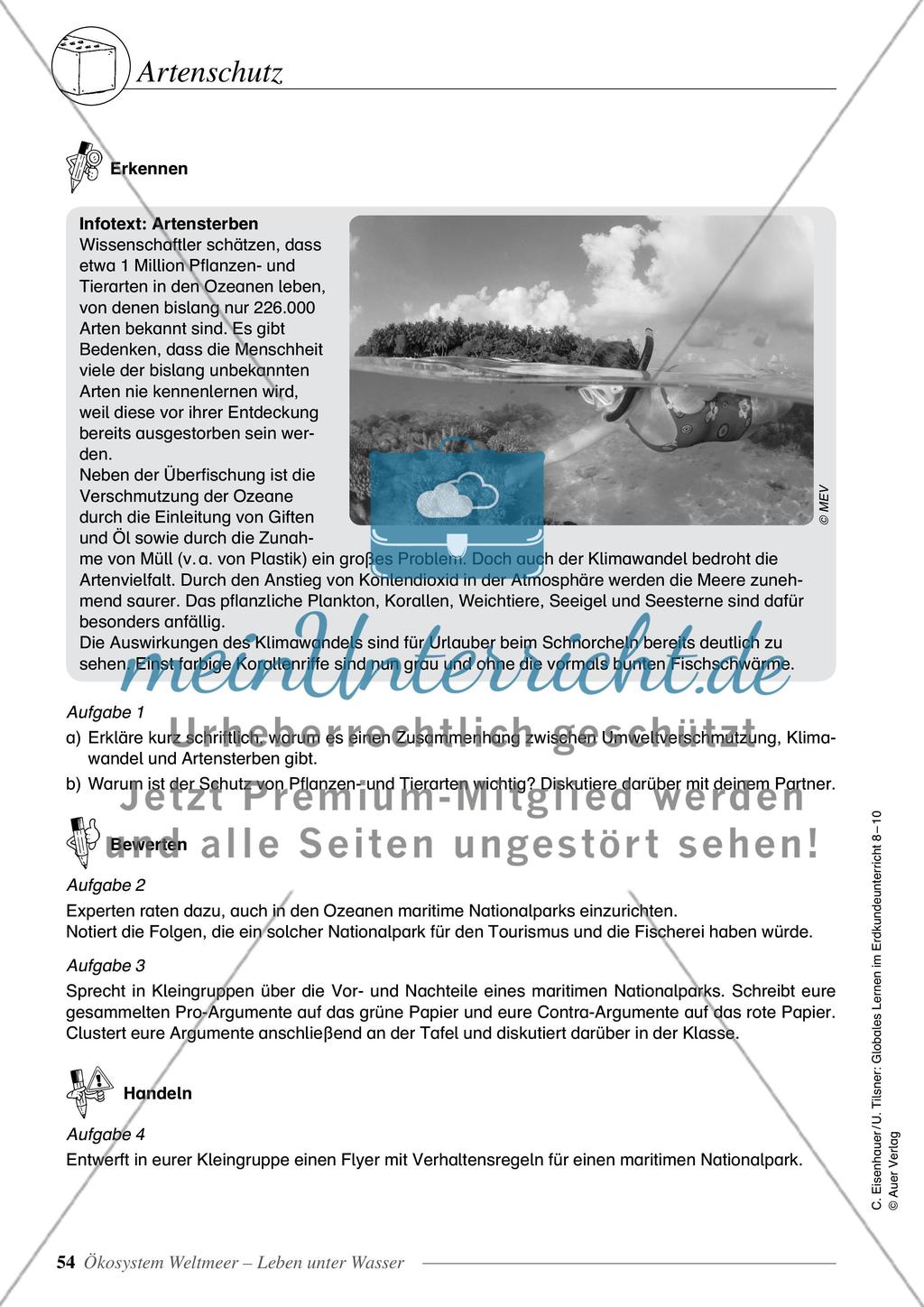 Ökosystem Weltmeer - Leben unter Wasser Preview 12