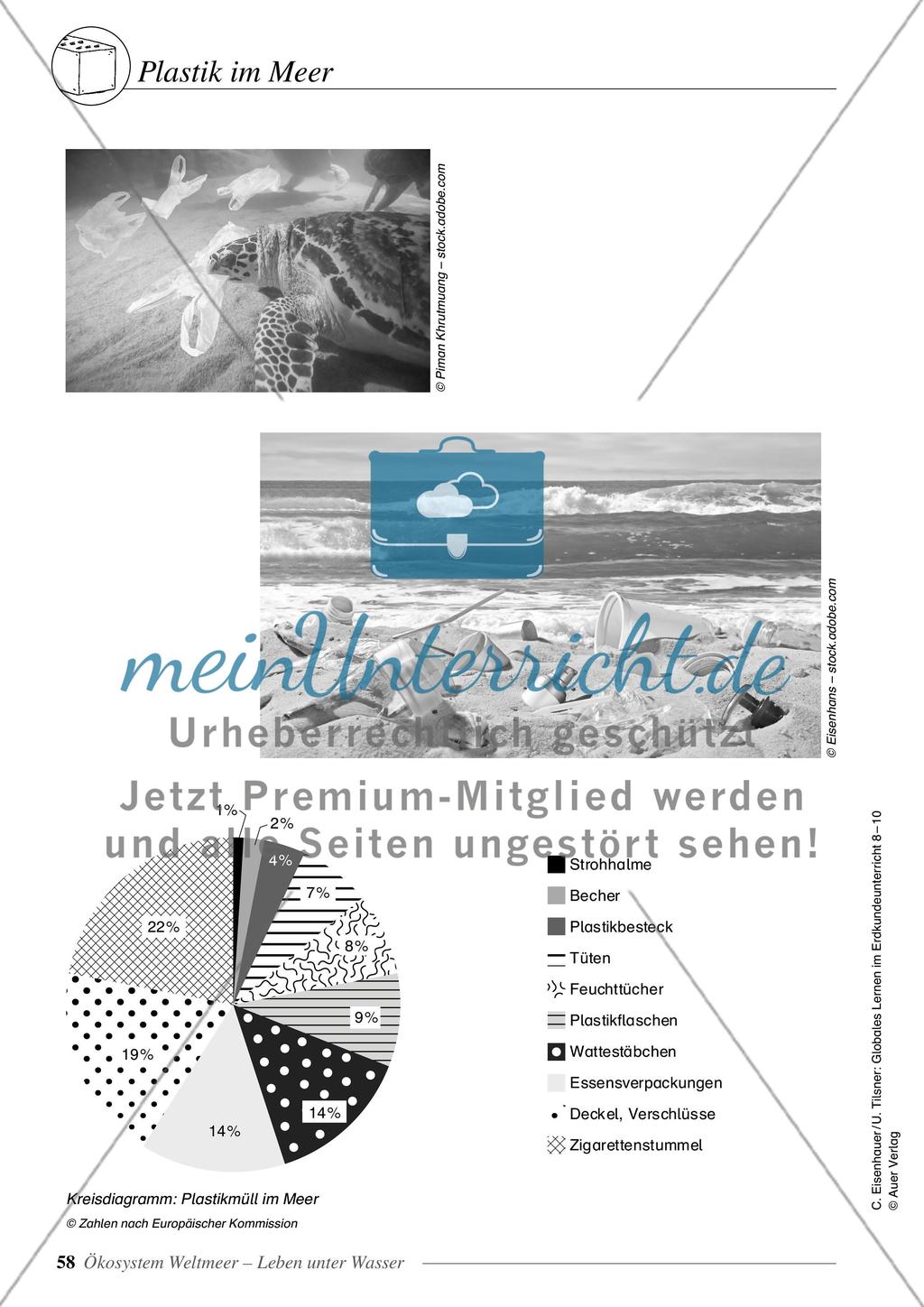 Ökosystem Weltmeer - Leben unter Wasser Preview 16