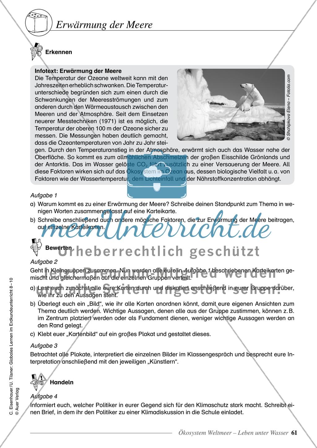 Ökosystem Weltmeer - Leben unter Wasser Preview 19