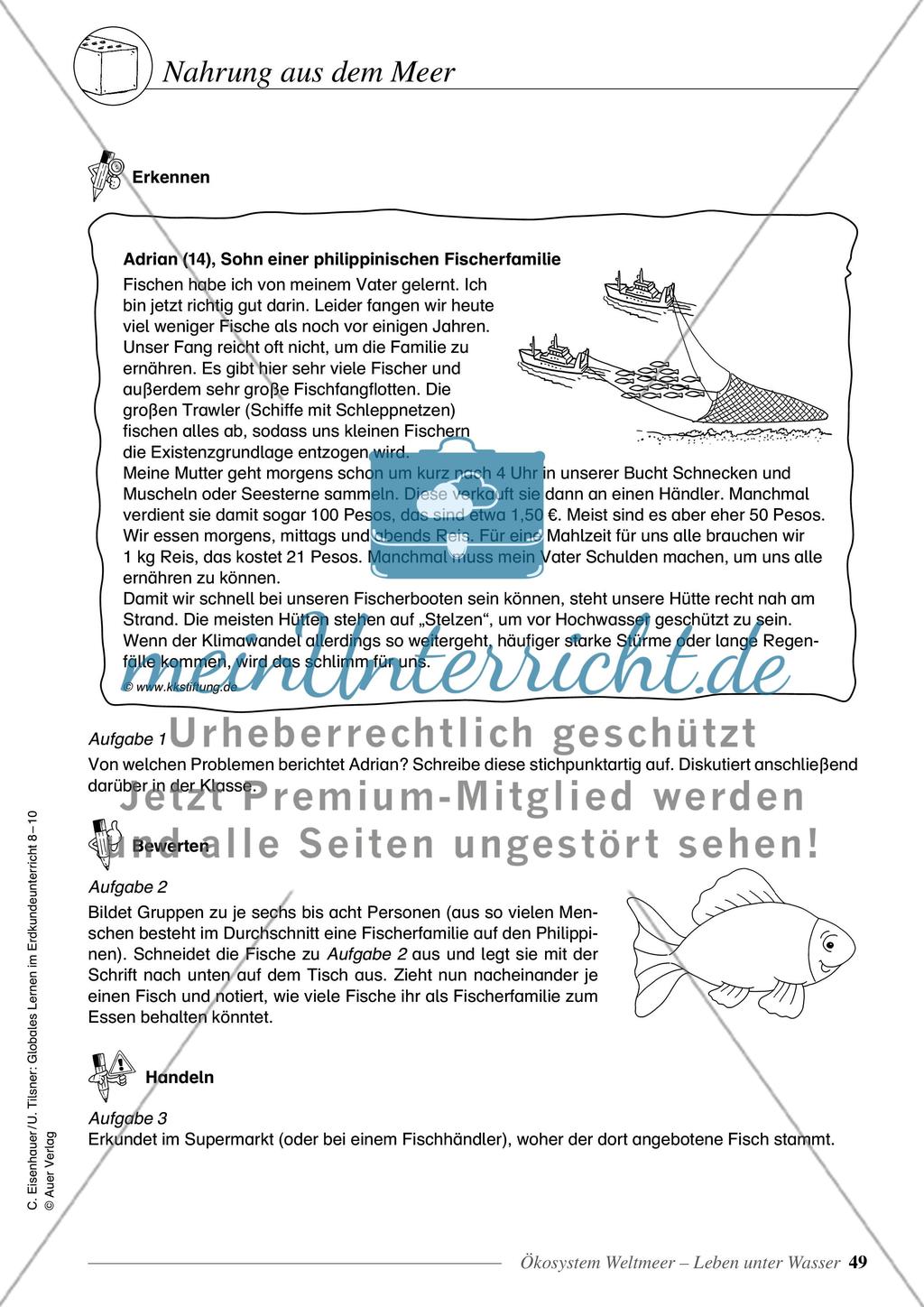 Ökosystem Weltmeer - Leben unter Wasser Preview 7