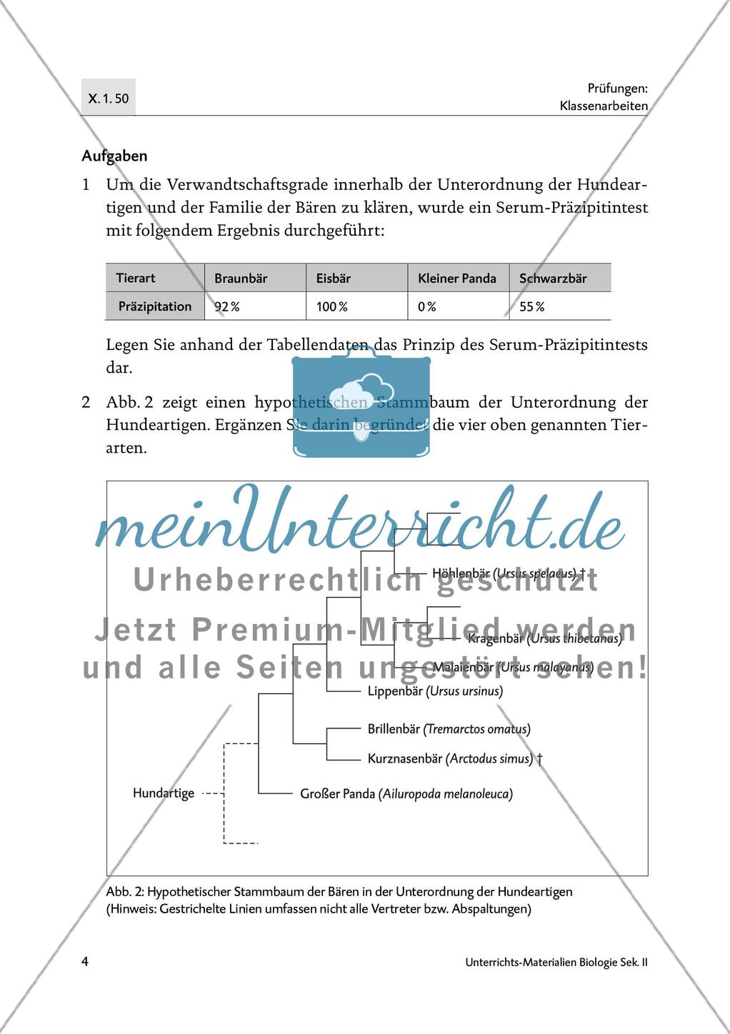 Bären sind nicht gleich Bären - M1-M4 Preview 2