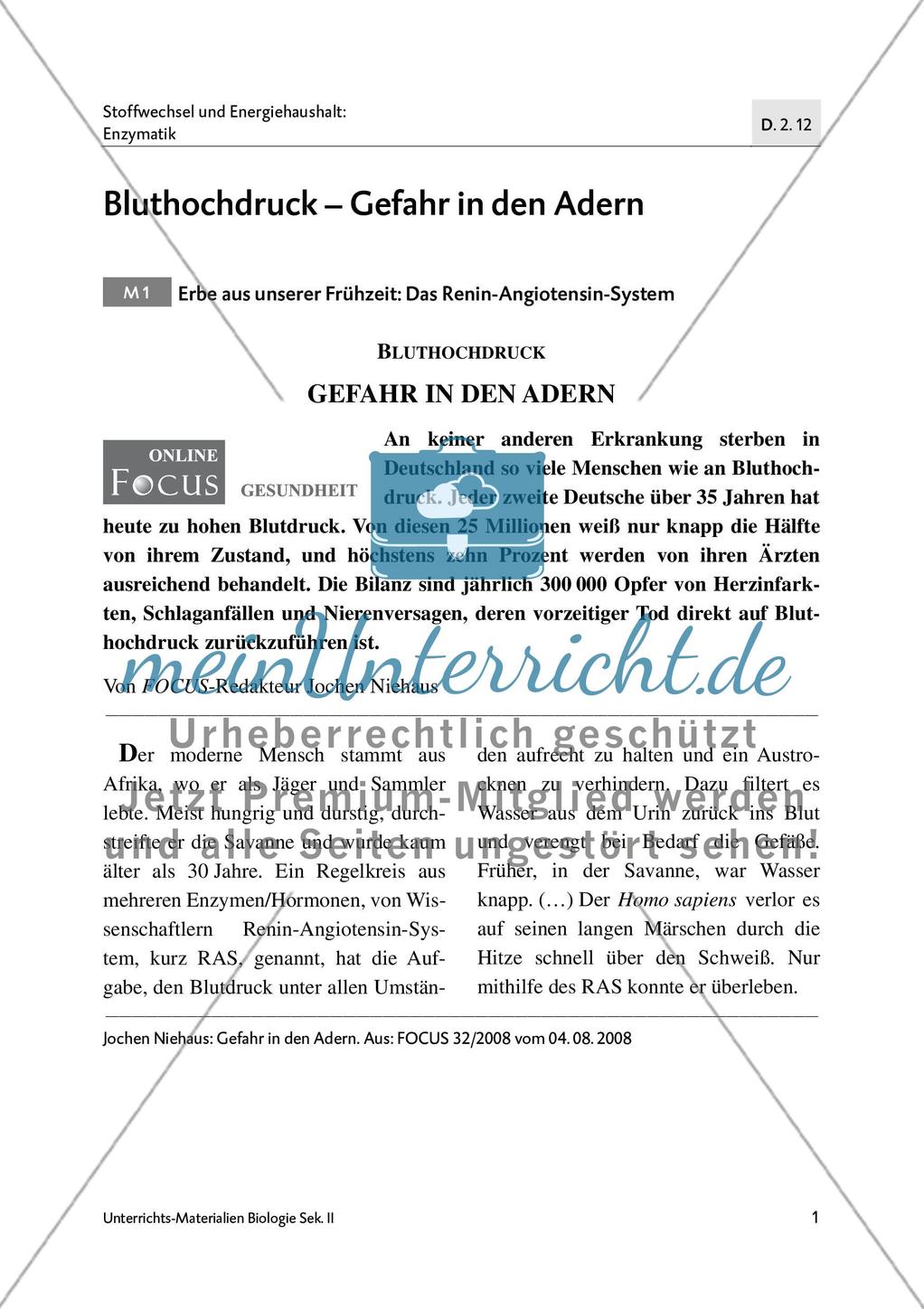 Bluthochdruck - M1-M3 Preview 1