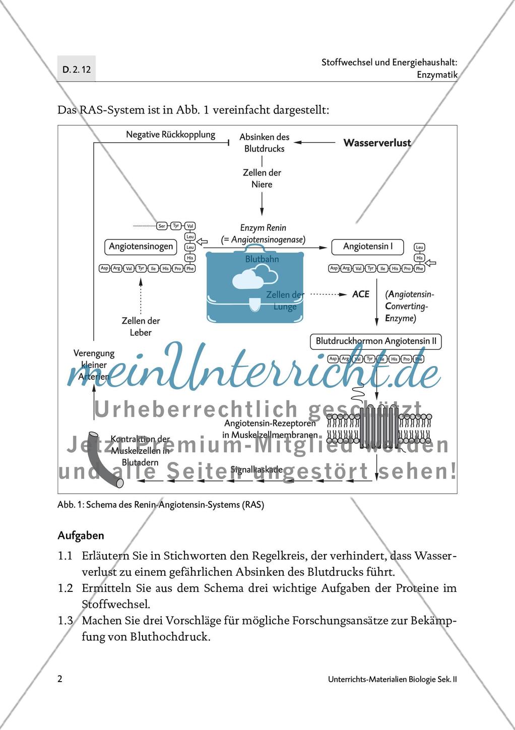 Bluthochdruck - M1-M3 Preview 2