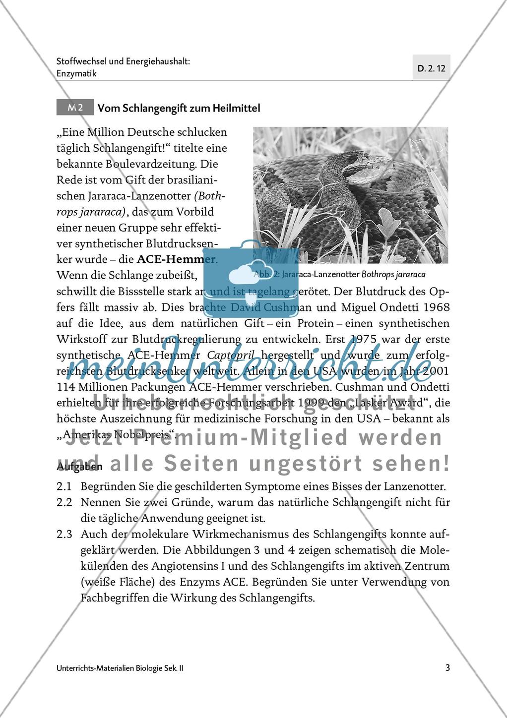 Bluthochdruck - M1-M3 Preview 3