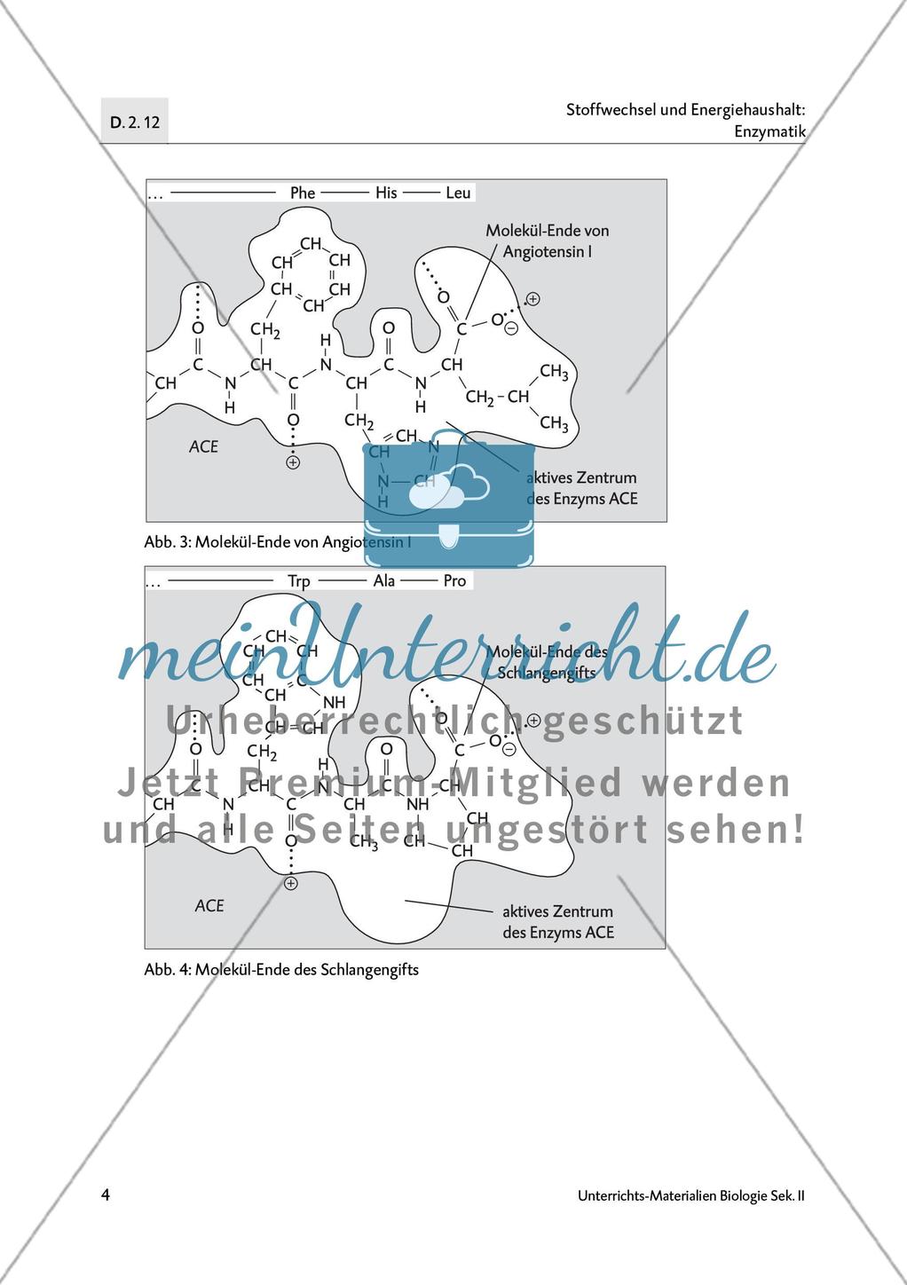 Bluthochdruck - M1-M3 Preview 4