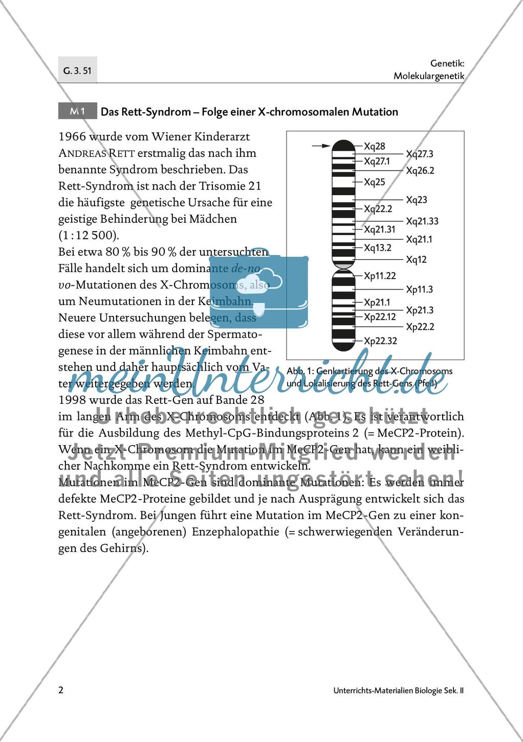 Das Rett-Syndrom - M1-M3 Preview 1