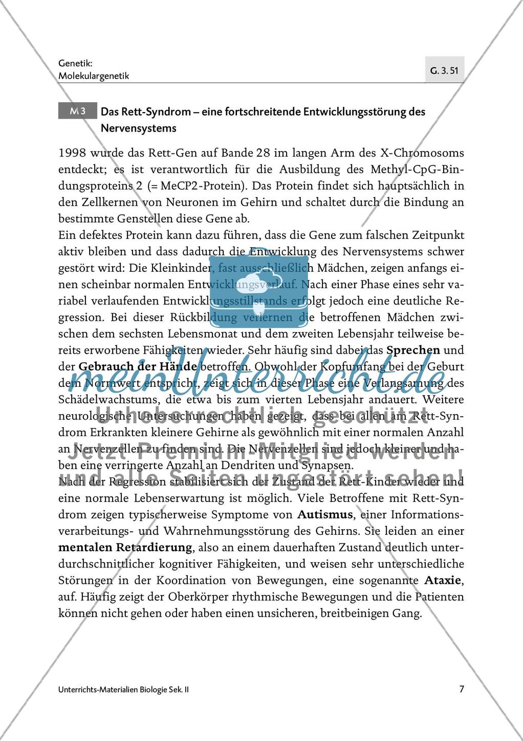Das Rett-Syndrom - M1-M3 Preview 6