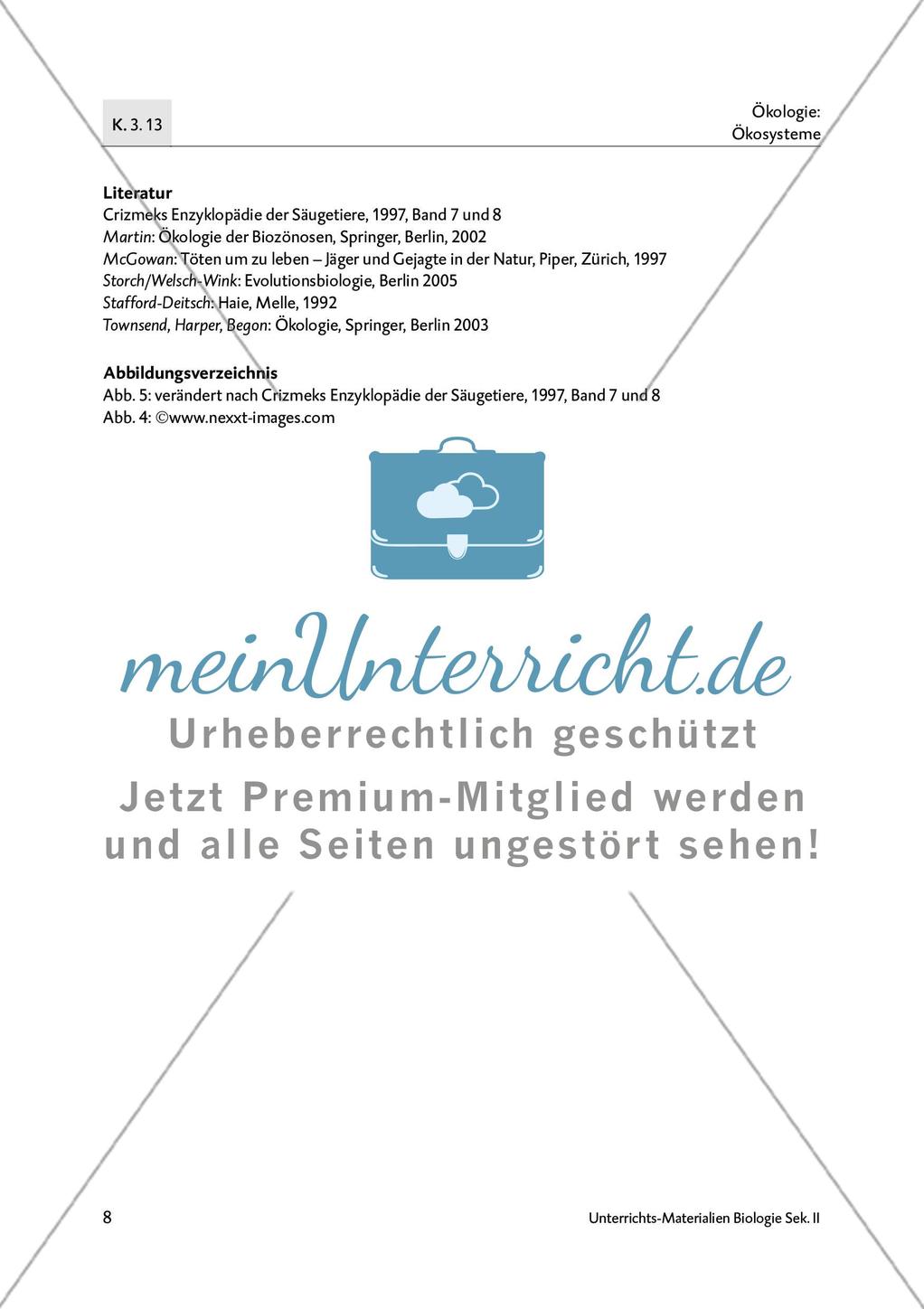 Der Weißhai Preview 10