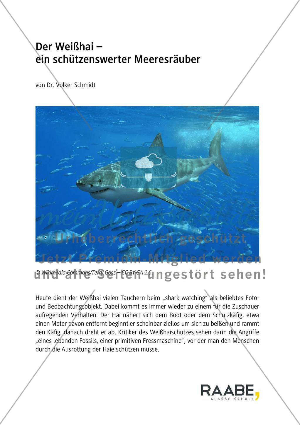 Der Weißhai Preview 1