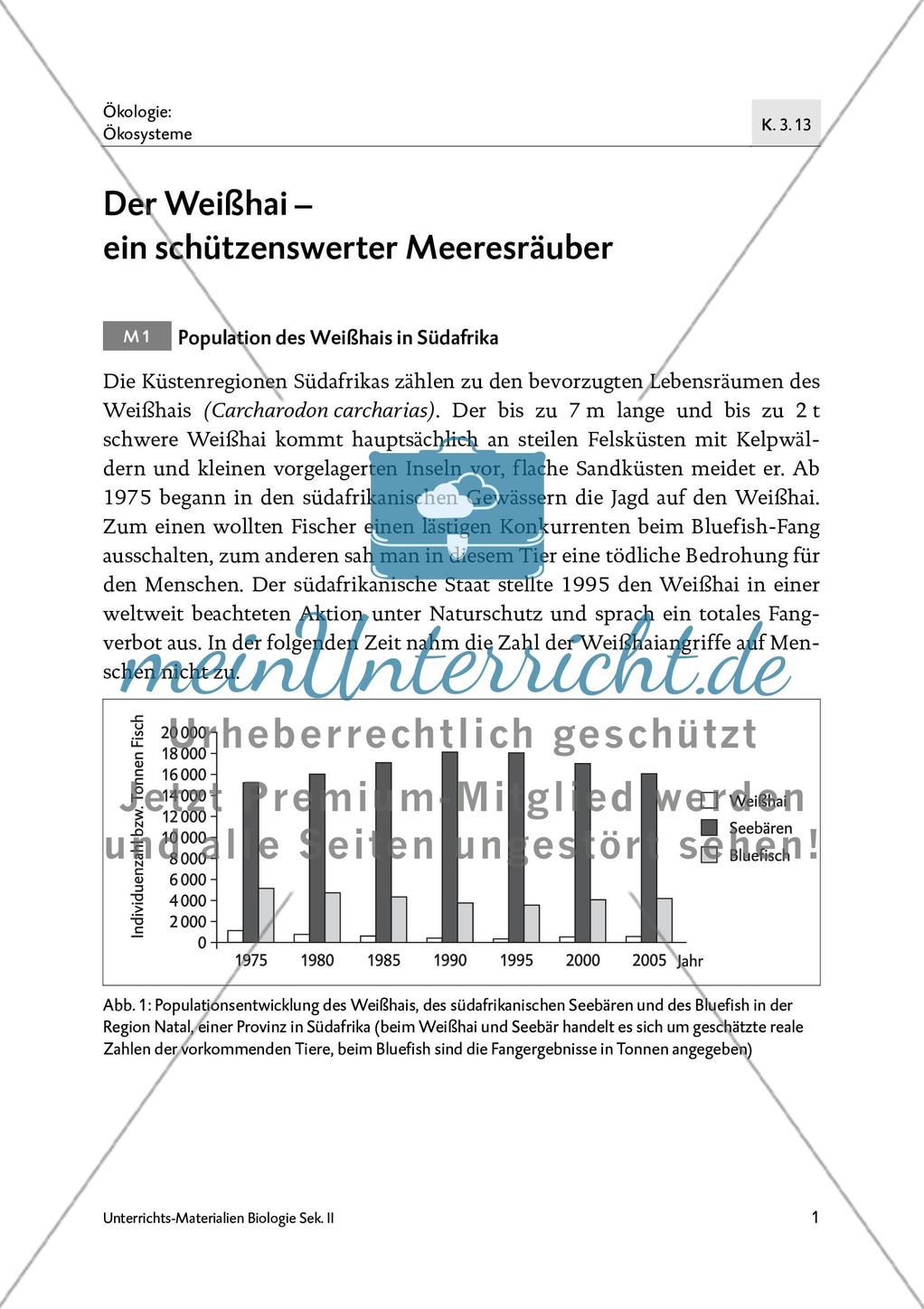Der Weißhai Preview 3