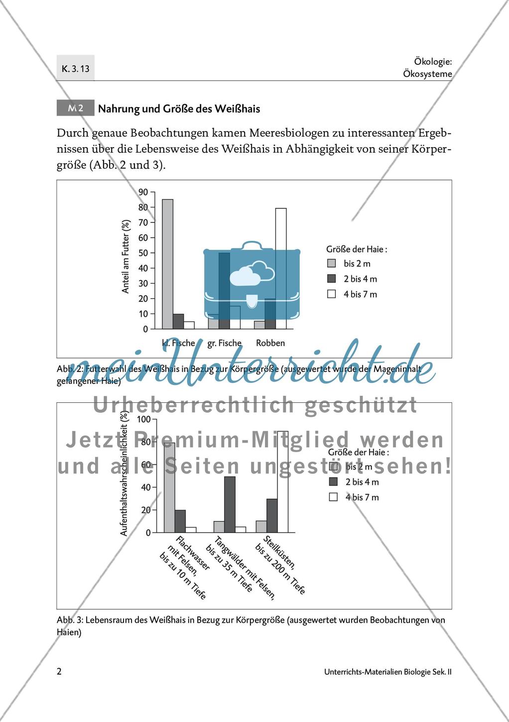 Der Weißhai Preview 4