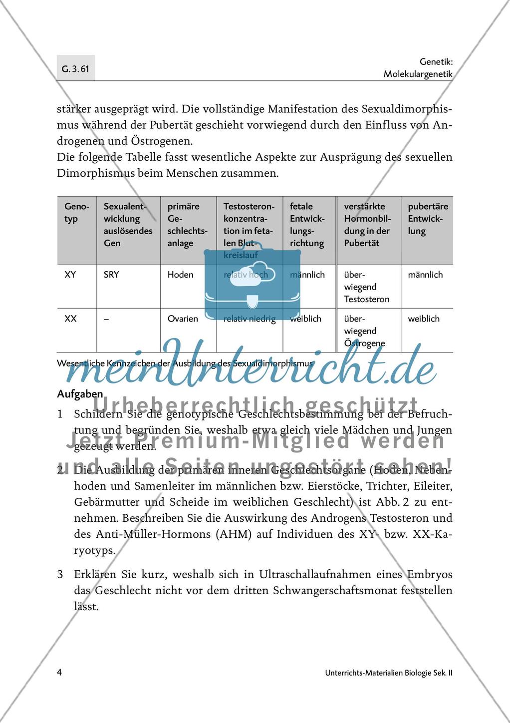 Die Bedeutung der Epigenetik in der Sexualentwicklung - M1-M2 Preview 3