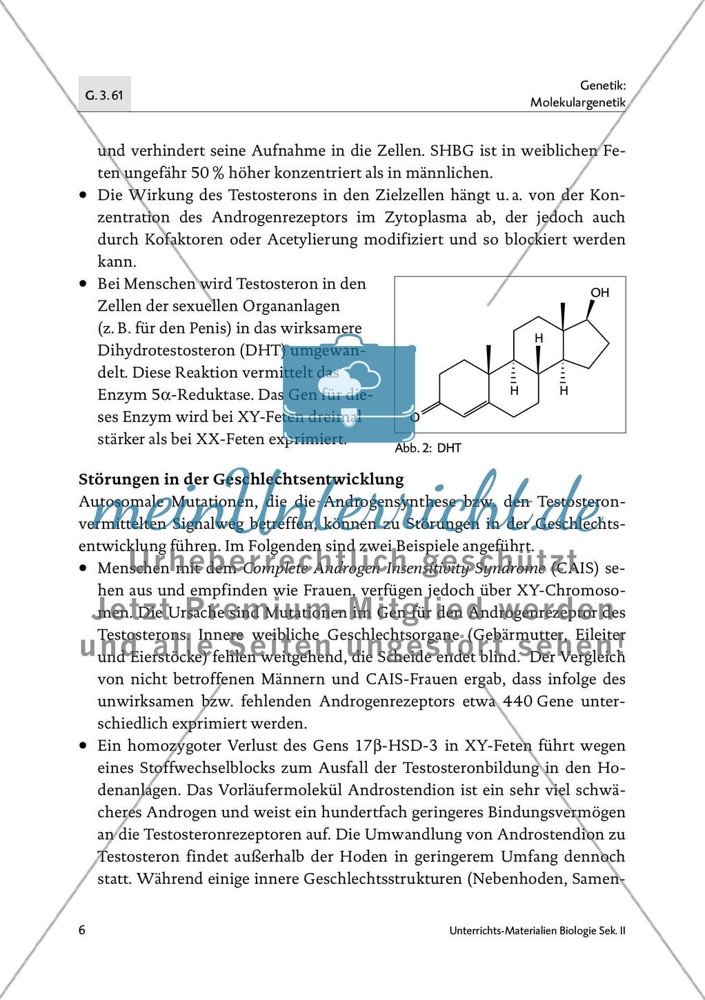 Die Bedeutung der Epigenetik in der Sexualentwicklung - M1-M2 Preview 5