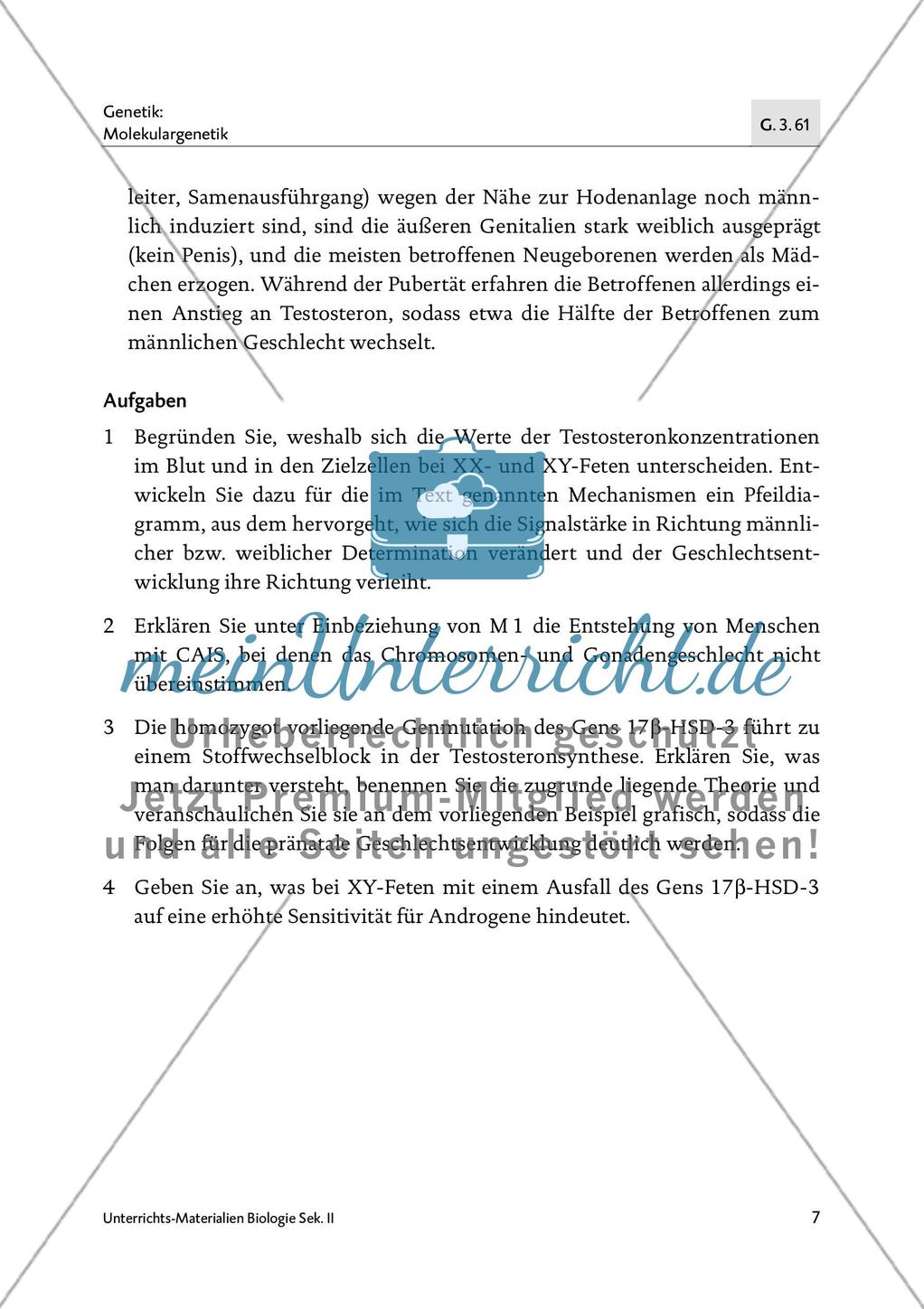 Die Bedeutung der Epigenetik in der Sexualentwicklung - M1-M2 Preview 6