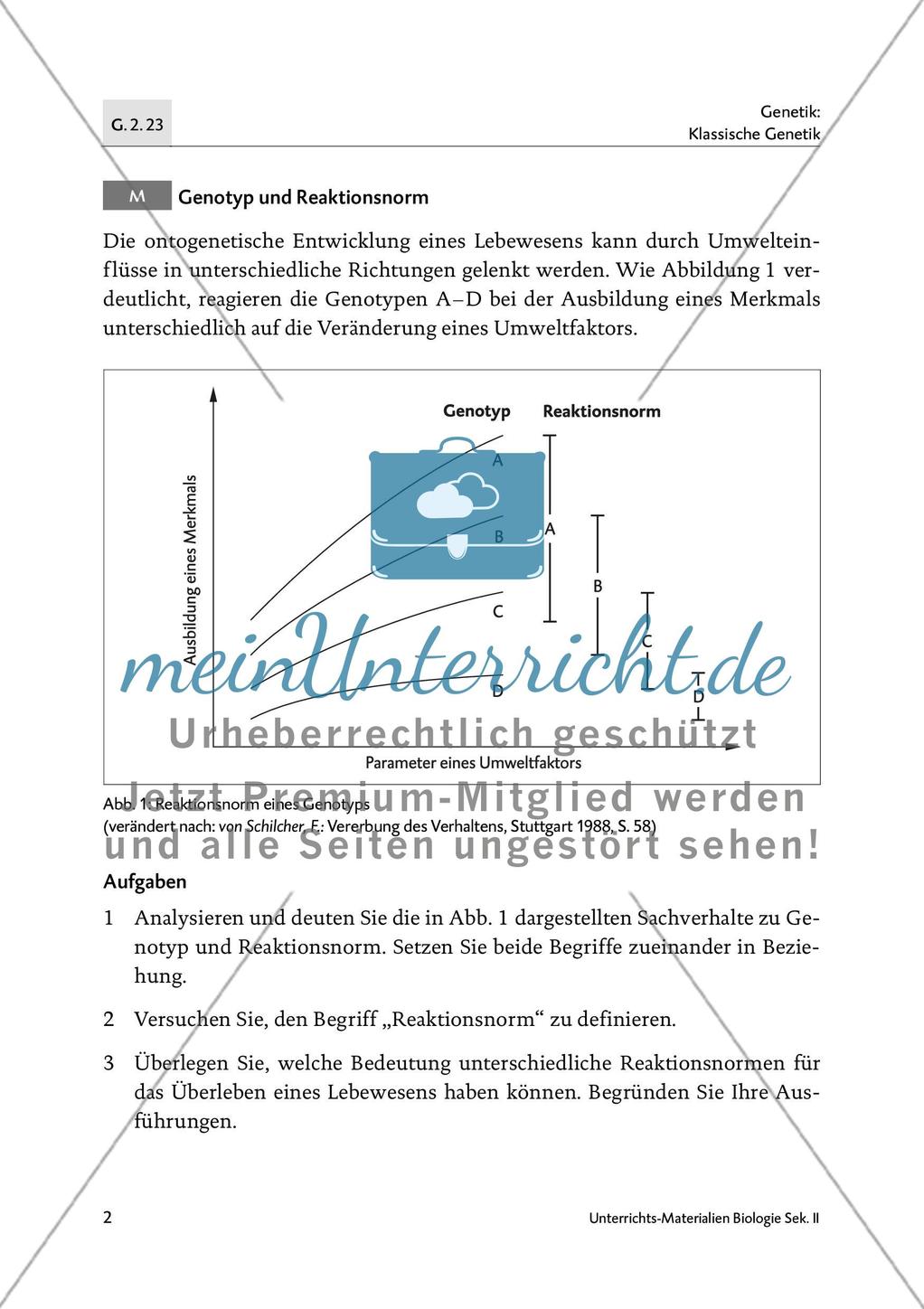 Die Bedeutung der Reaktionsnorm für die Merkmalsausbildung Preview 3