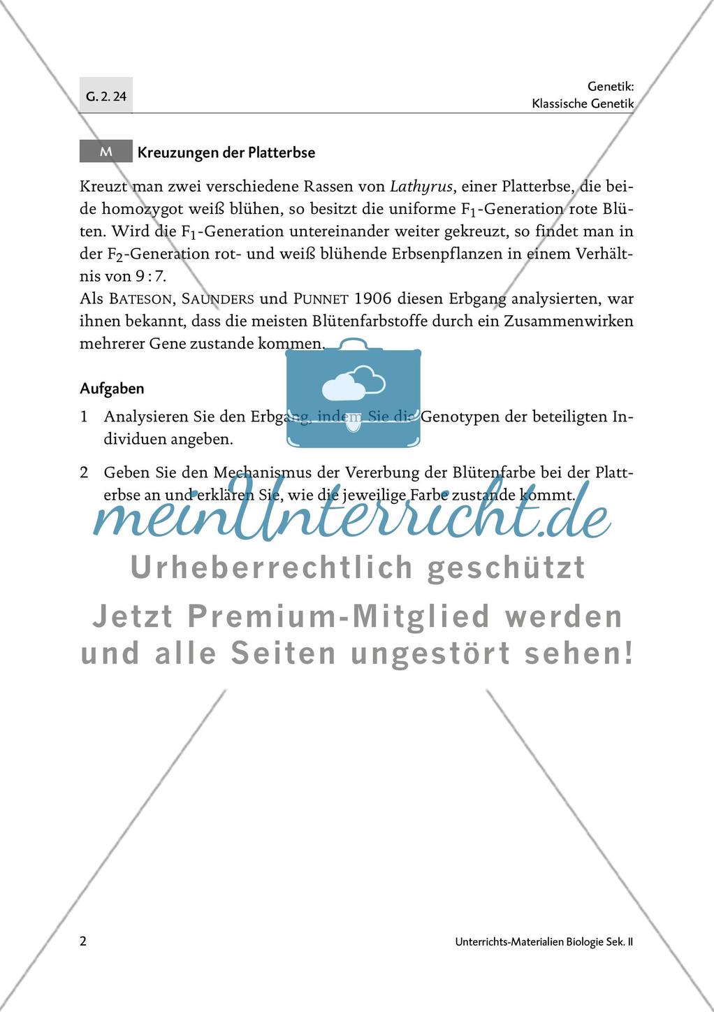 Die Vererbung der Blütenfarbe bei der Platterbse Preview 3