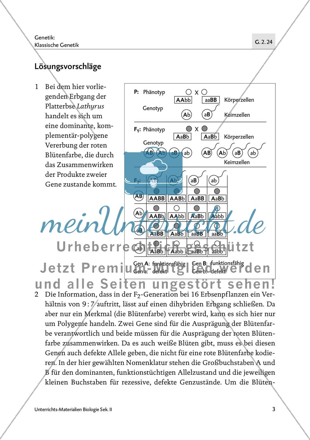 Die Vererbung der Blütenfarbe bei der Platterbse Preview 4