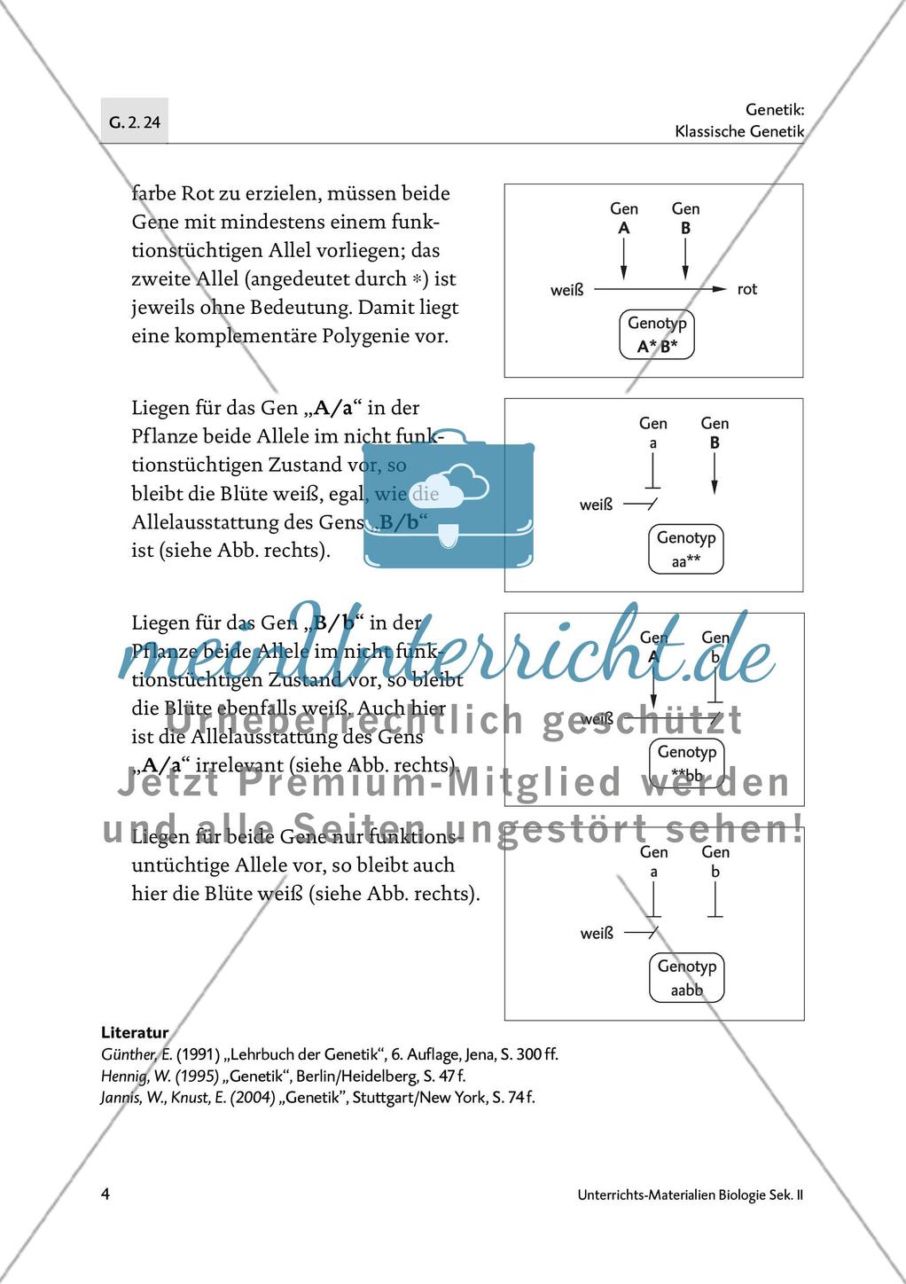Die Vererbung der Blütenfarbe bei der Platterbse Preview 5
