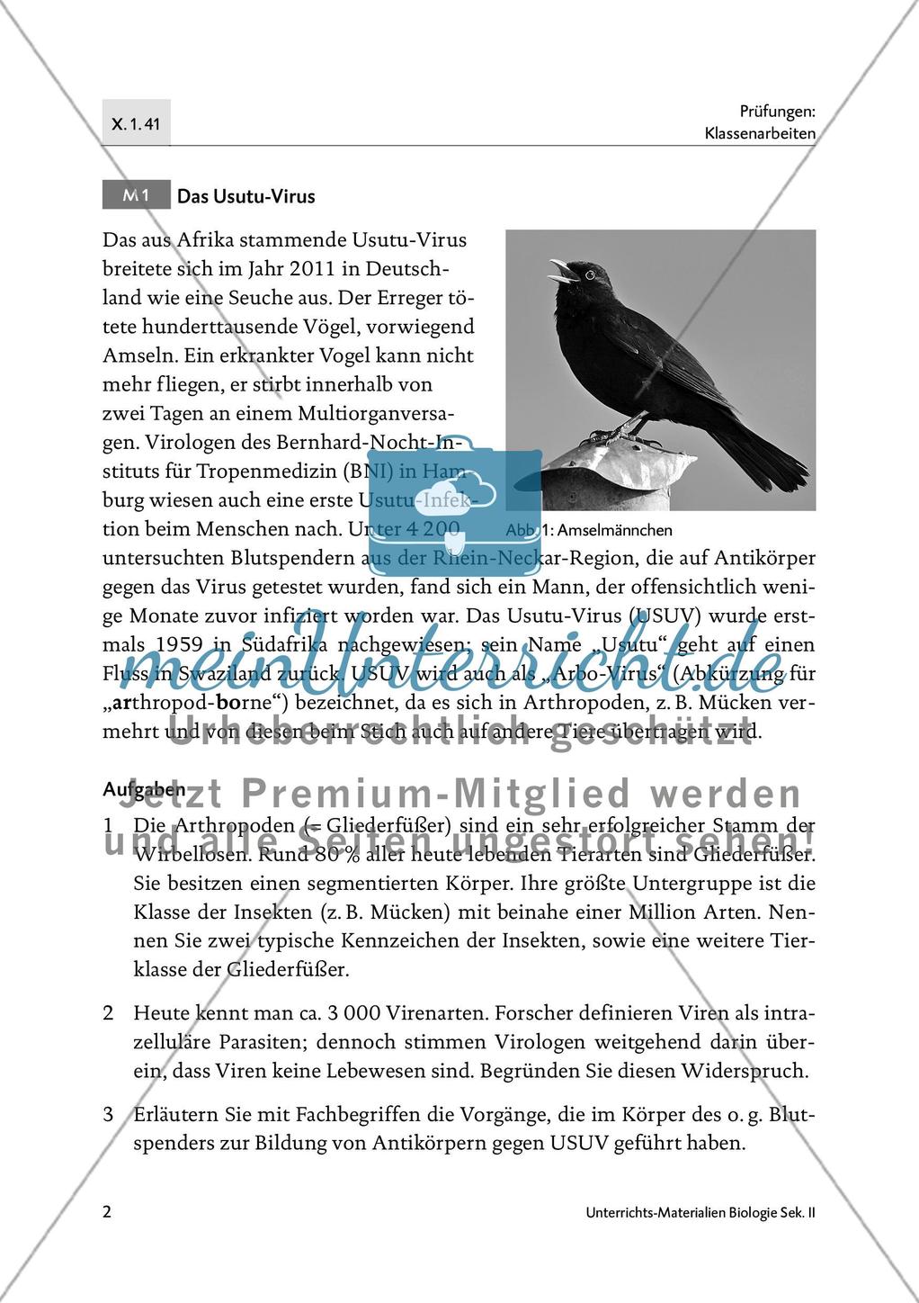 Drohendes Vogelsterben in Deutschland durch das Usutu-Virus - M1-M4 Preview 1