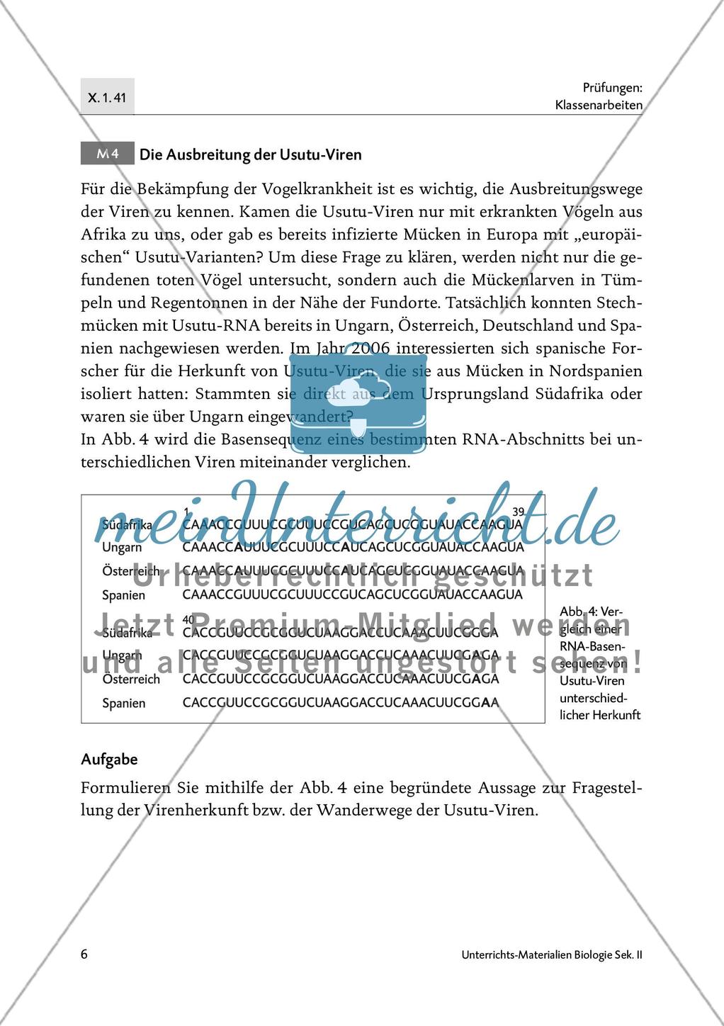 Drohendes Vogelsterben in Deutschland durch das Usutu-Virus - M1-M4 Preview 5