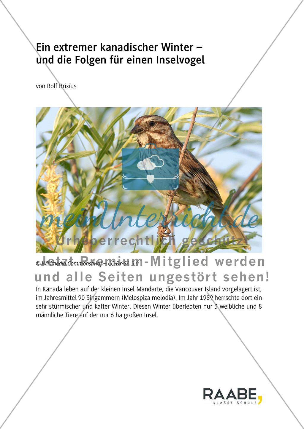 Ein extremer kanadischer Winter Preview 1