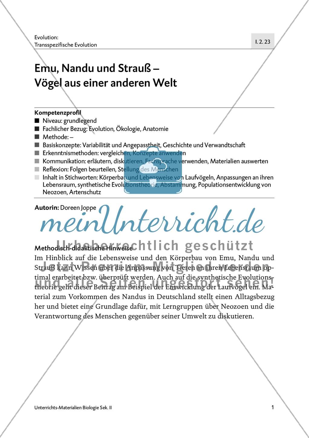 Emu, Nandu und Strauß Preview 3