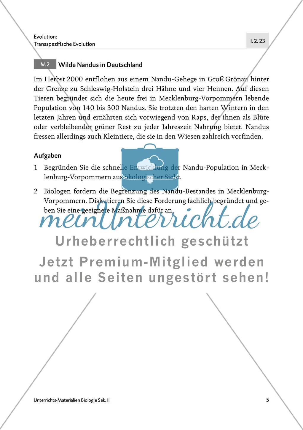 Emu, Nandu und Strauß Preview 7