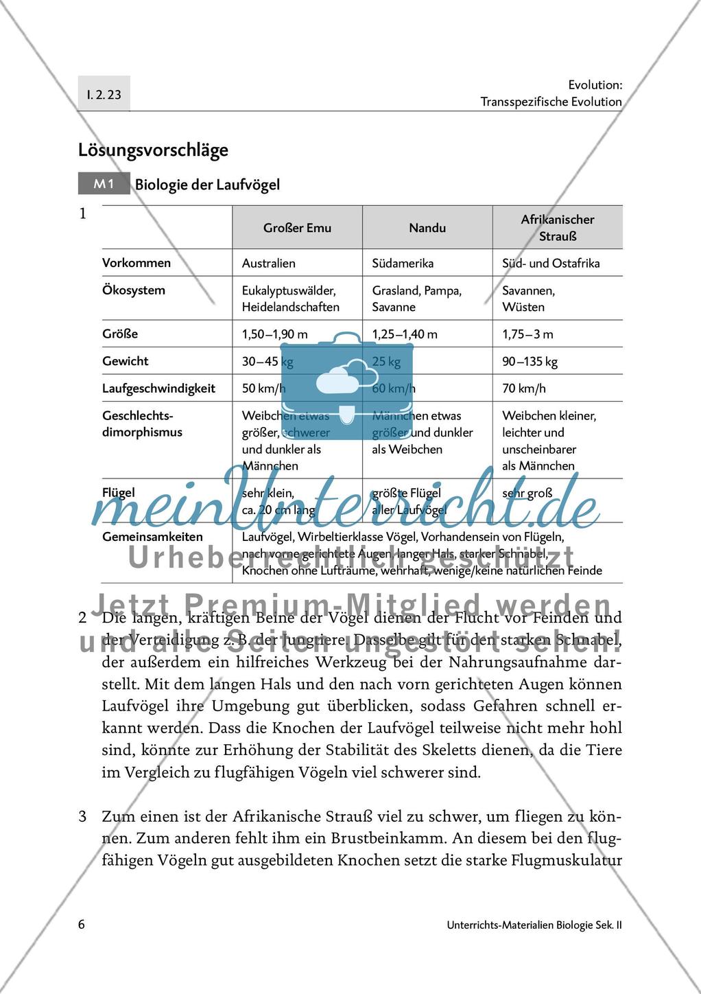 Emu, Nandu und Strauß Preview 8