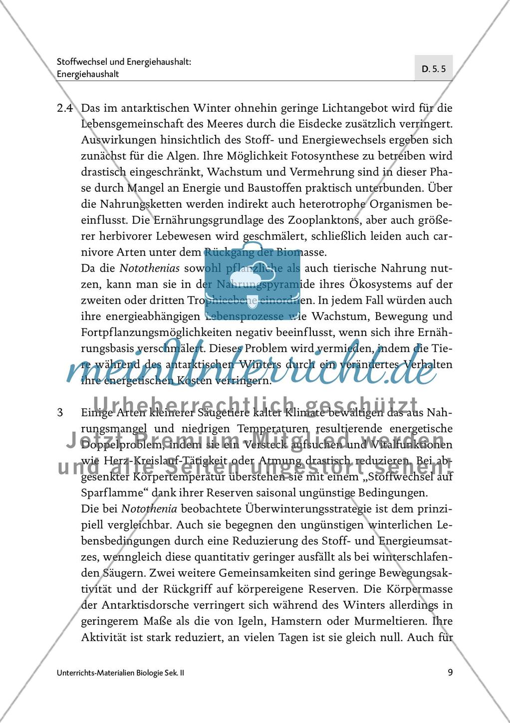 Fische im Winterschlaf? Preview 10