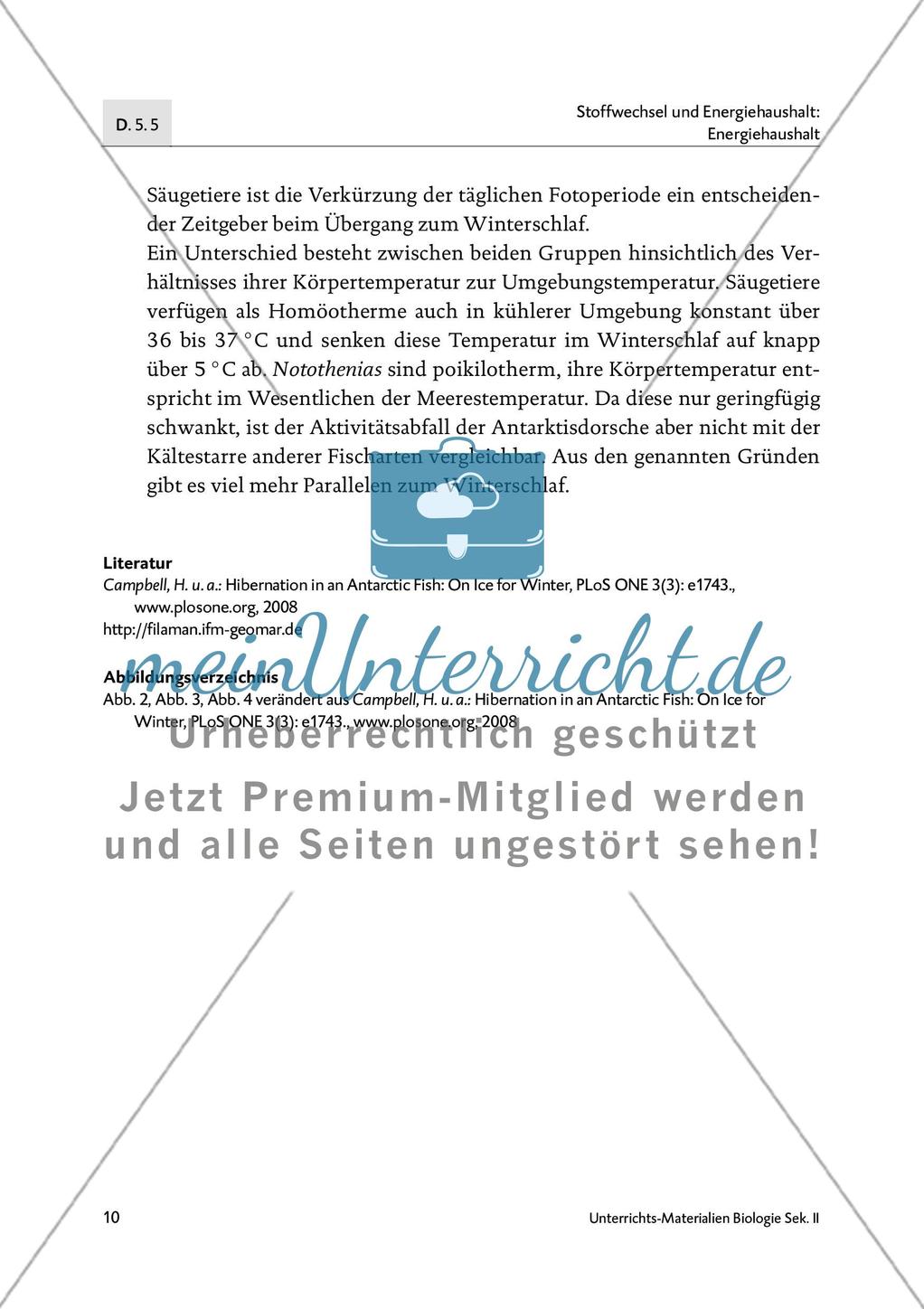 Fische im Winterschlaf? Preview 11