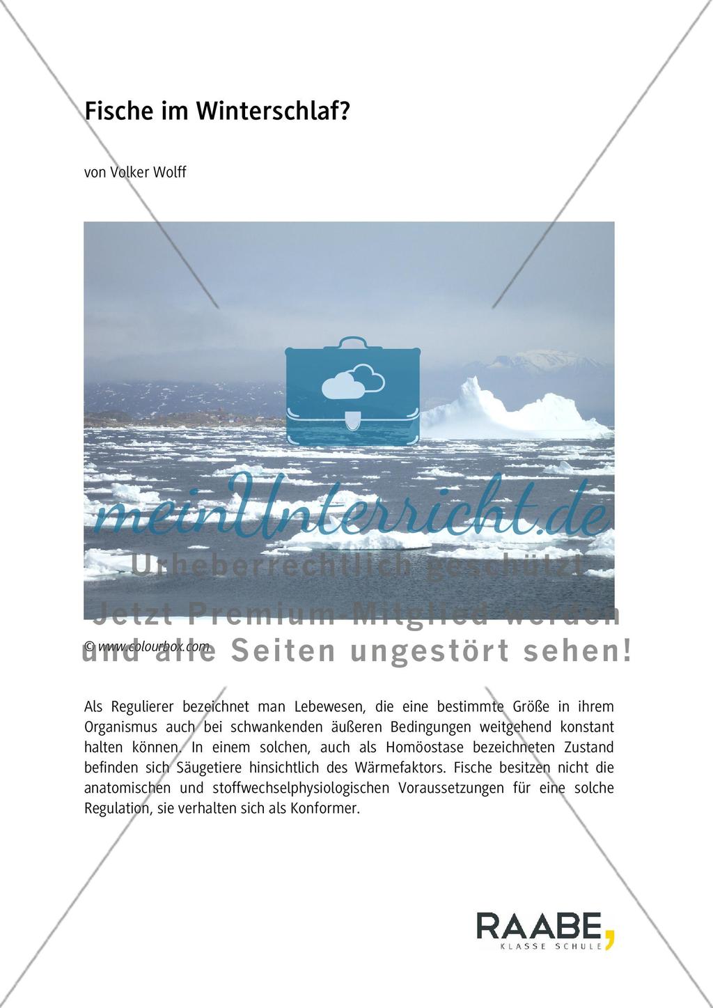 Fische im Winterschlaf? Preview 1