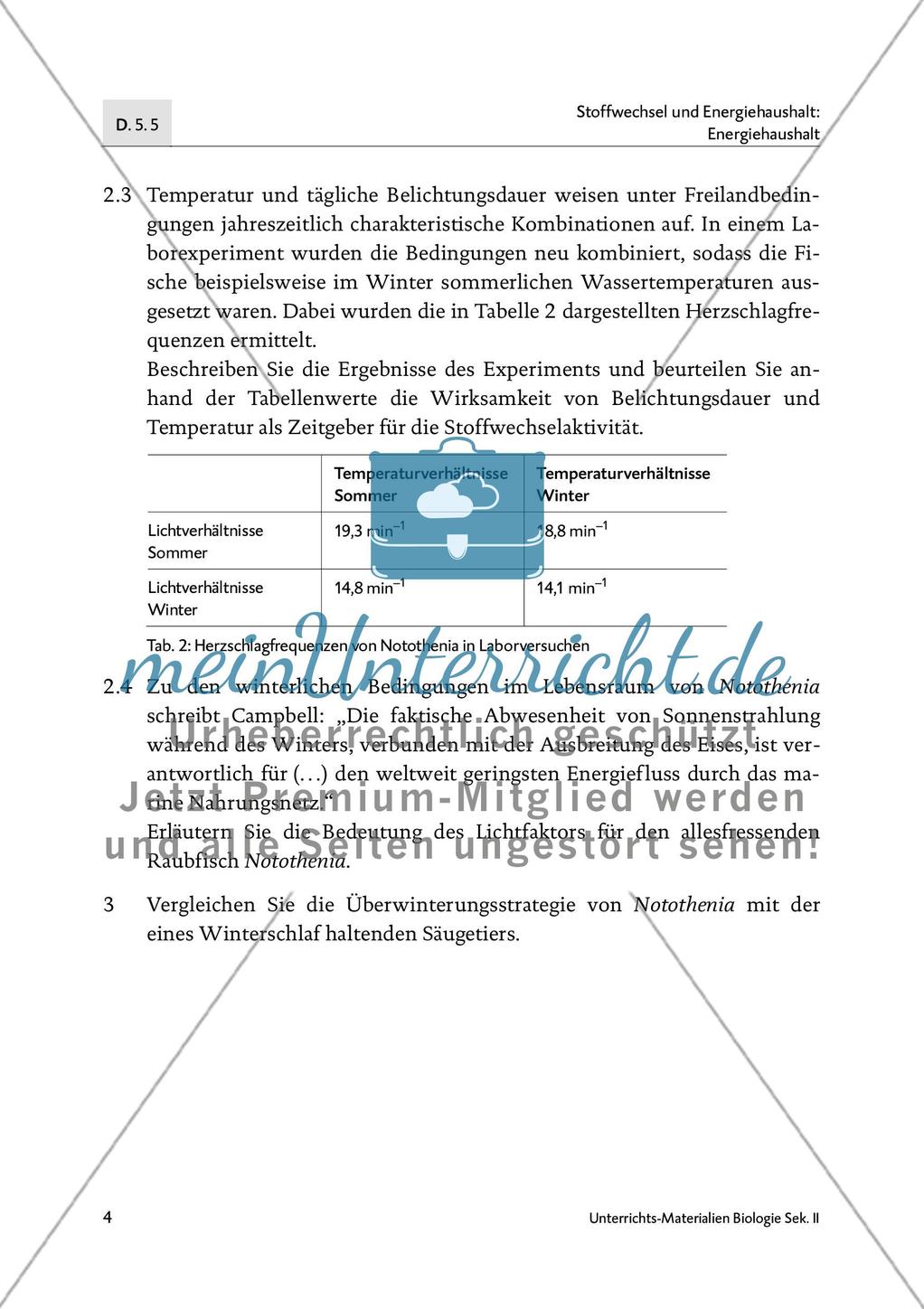 Fische im Winterschlaf? Preview 5