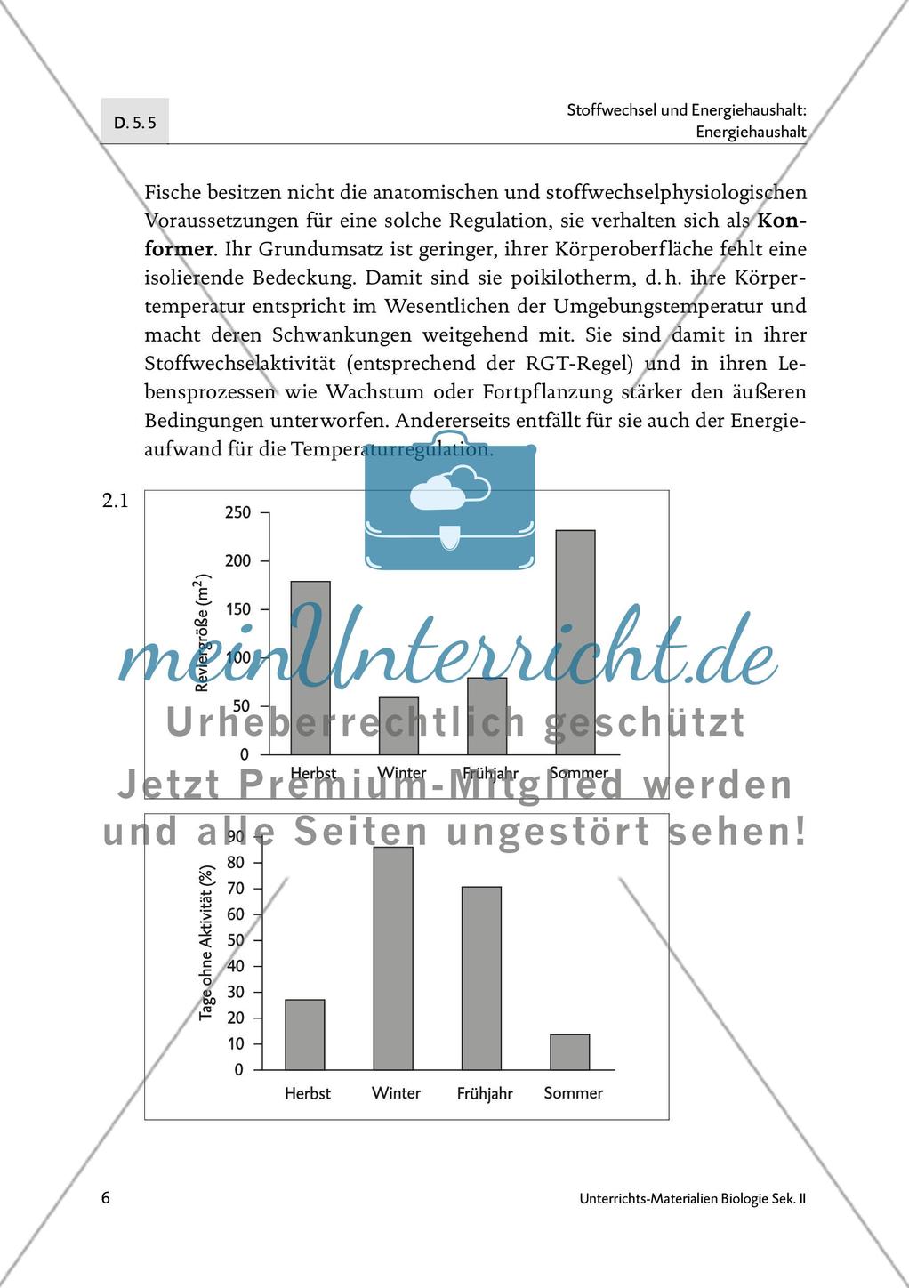 Fische im Winterschlaf? Preview 7