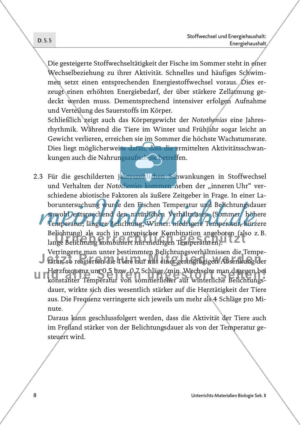 Fische im Winterschlaf? Preview 9