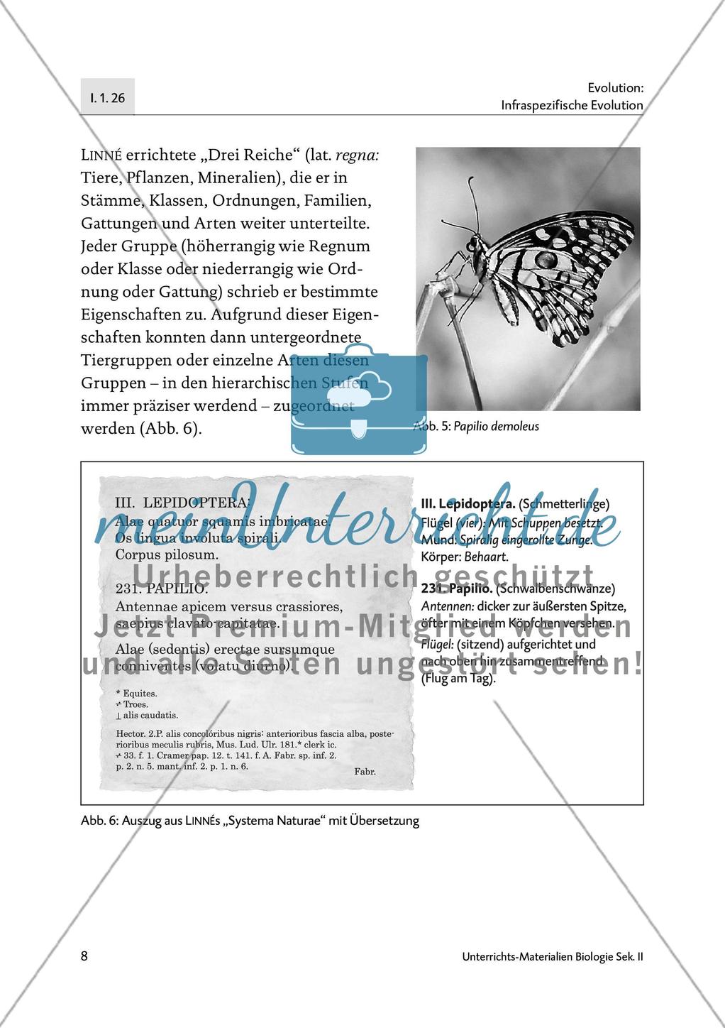 Geschichte und Theorie der Biologie im Unterricht - M1-M3 Preview 6